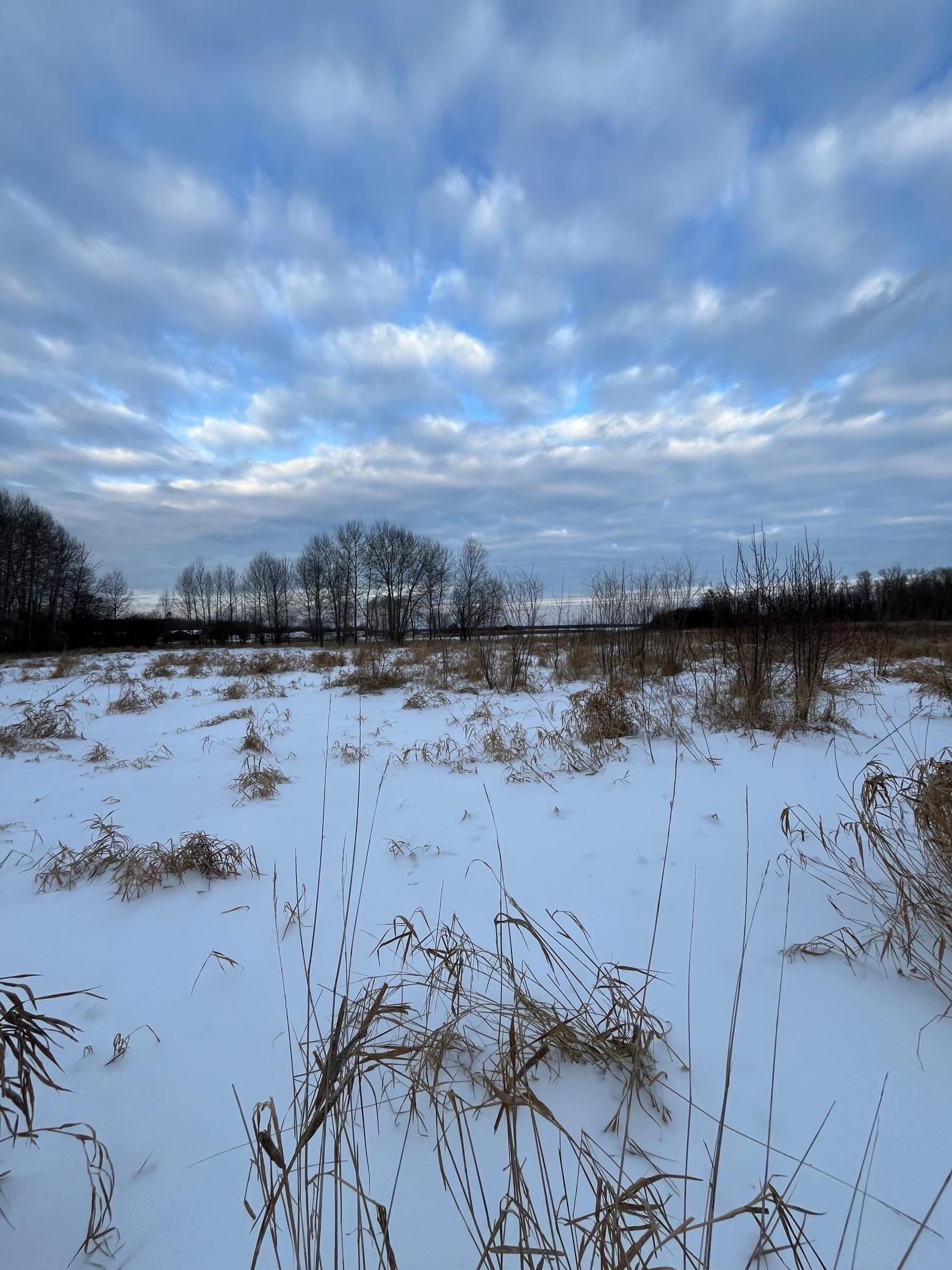 land for sale at TBD Parcel 1 E Pine Drive in Angle Inlet, MN (photo 13 of 21)