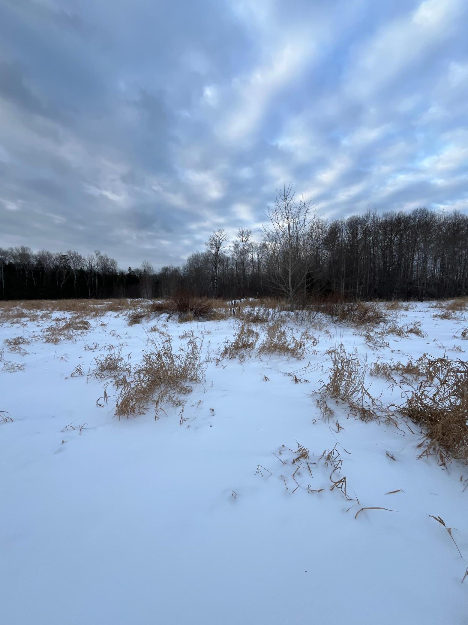 land for sale at TBD Parcel 1 E Pine Drive in Angle Inlet, MN (photo 14 of 21)