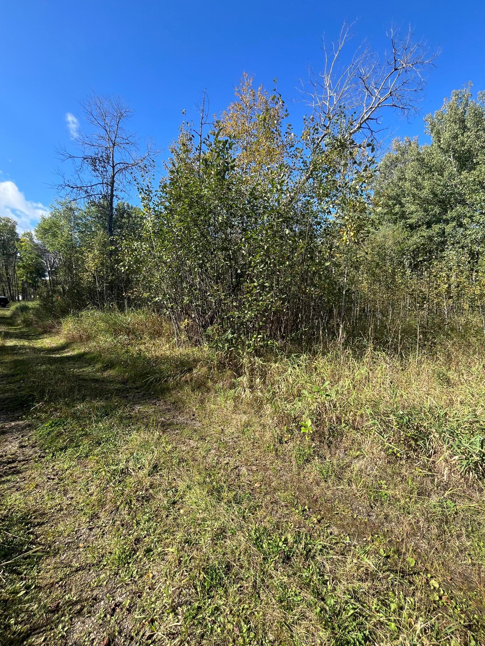 land for sale at TBD Parcel 1 E Pine Drive in Angle Inlet, MN (photo 17 of 21)