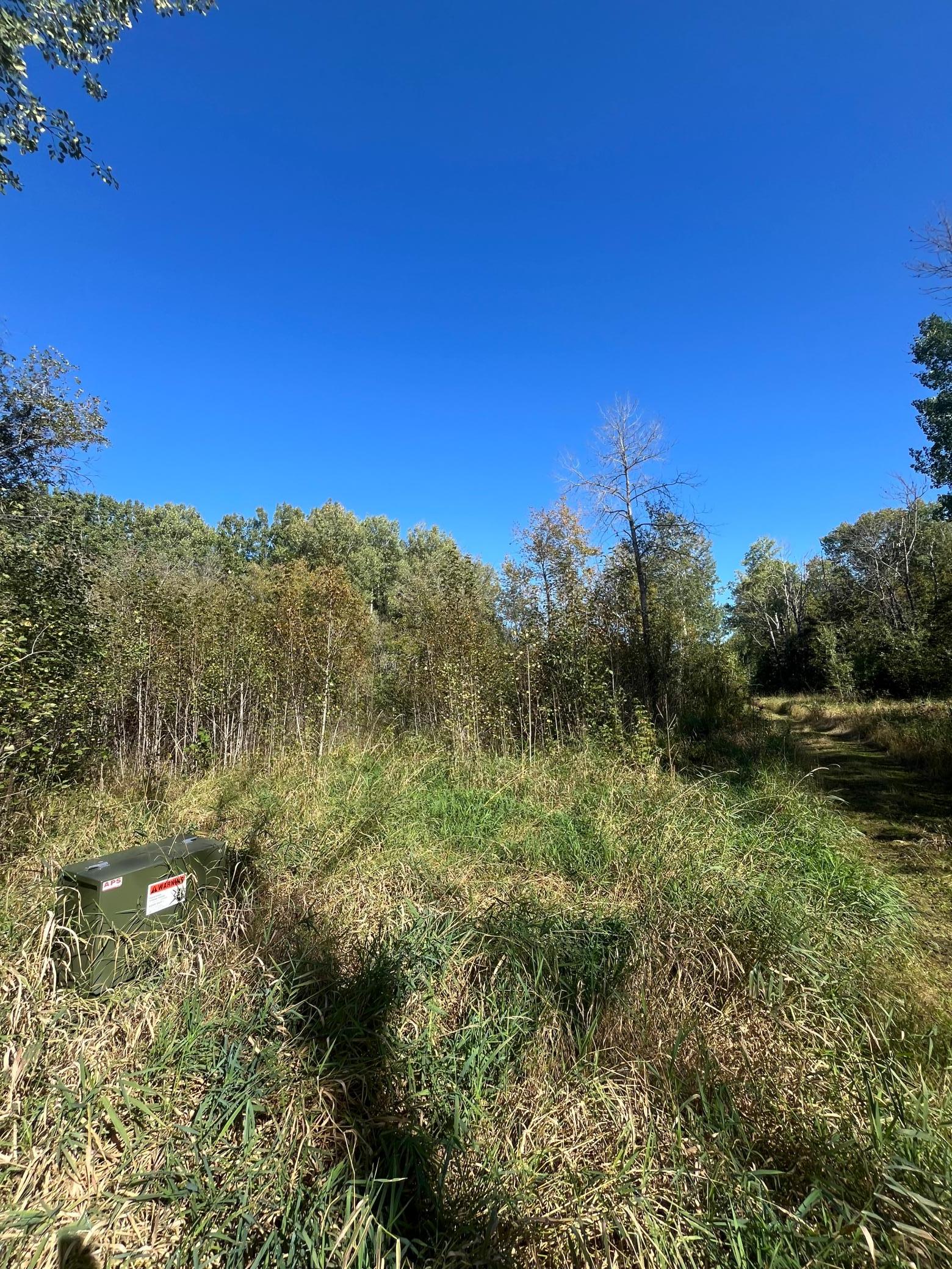 land for sale at TBD Parcel 1 E Pine Drive in Angle Inlet, MN (photo 18 of 21)