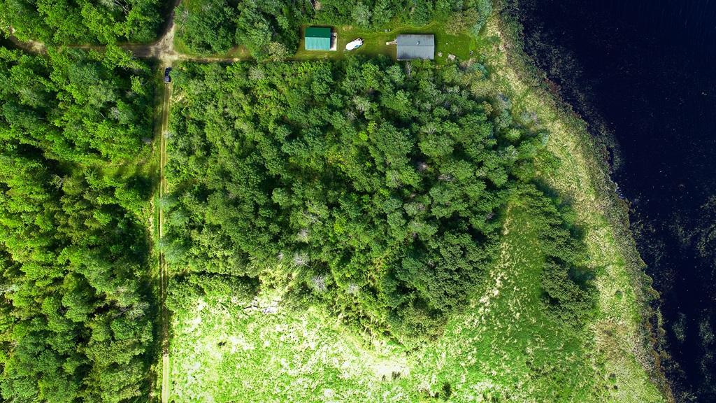 land for sale at TBD Parcel 1 E Pine Drive in Angle Inlet, MN (photo 4 of 21)