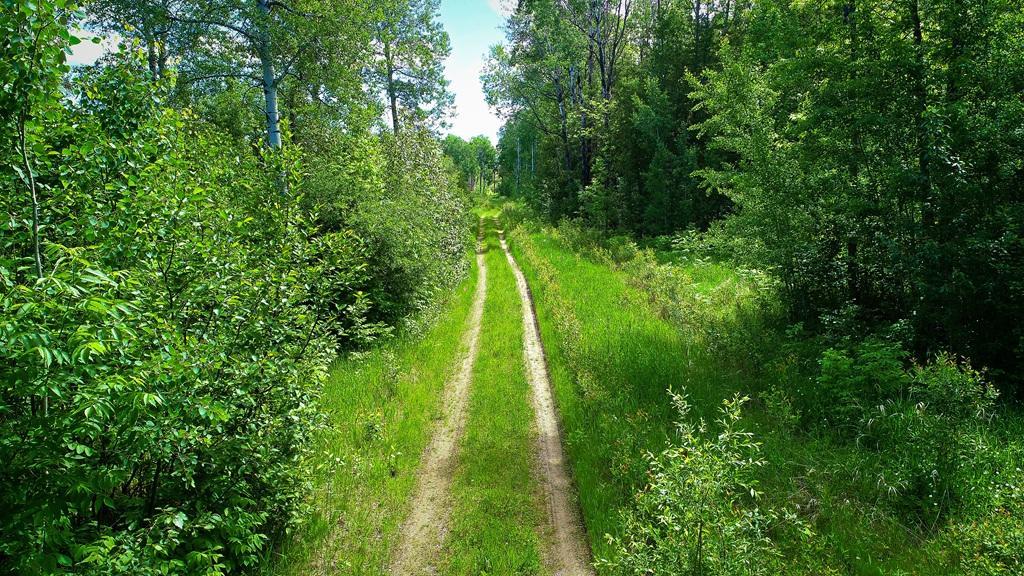 land for sale at TBD Parcel 1 E Pine Drive in Angle Inlet, MN (photo 6 of 21)