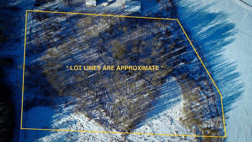 land for sale at TBD Parcel 1 E Pine Drive in Angle Inlet, MN (photo 7 of 21)