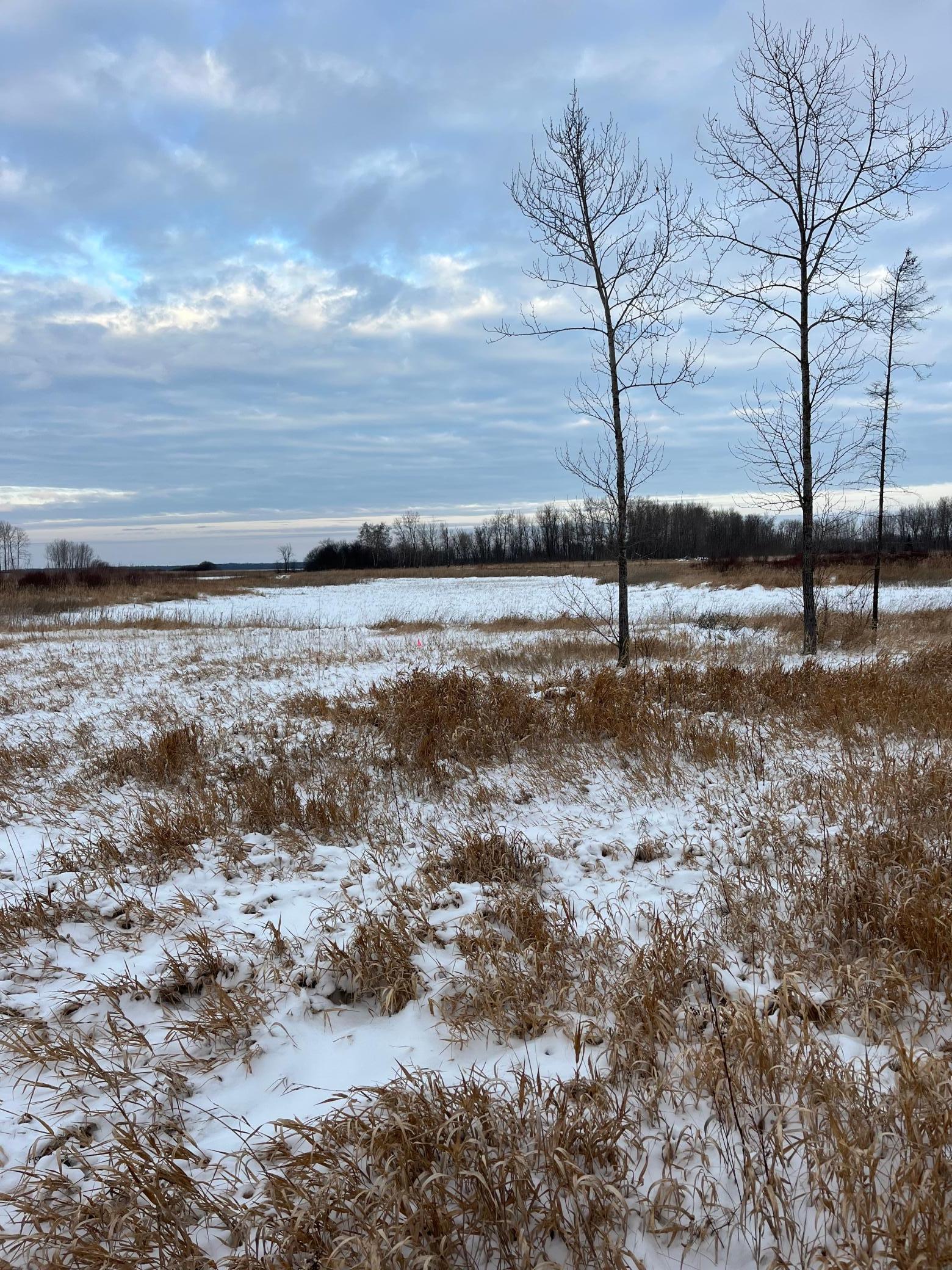 land for sale at TBD Parcel 3 E Pine Drive in Angle Inlet, MN (photo 6 of 9)