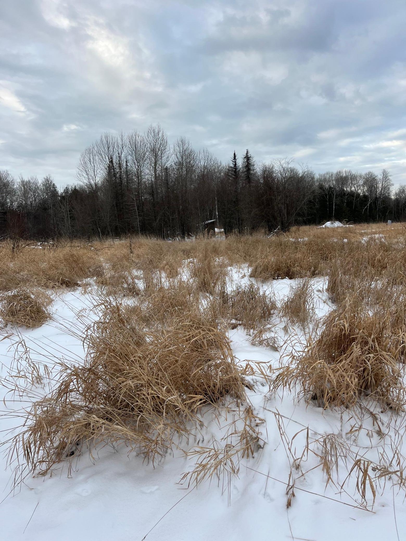 land for sale at TBD Parcel 3 E Pine Drive in Angle Inlet, MN (photo 7 of 9)