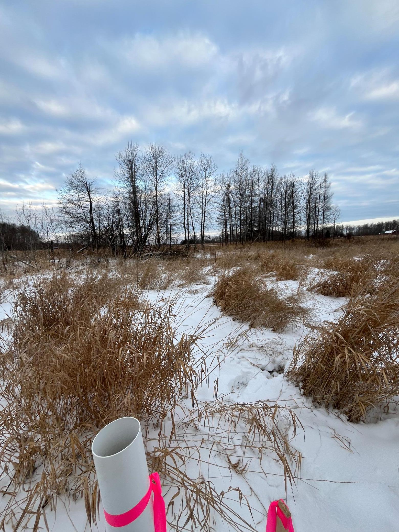 land for sale at TBD Parcel 3 E Pine Drive in Angle Inlet, MN (photo 8 of 9)