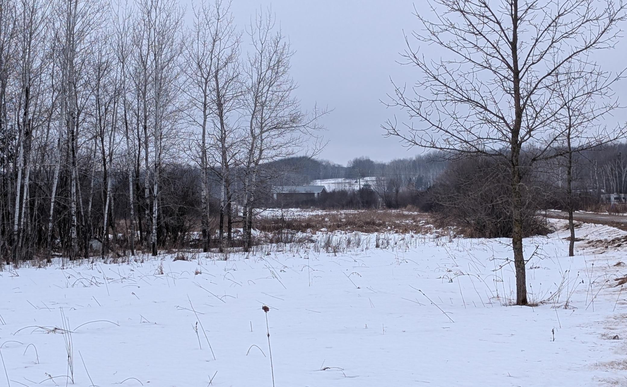 land for sale at TBD Hummingbird Road in Long Prairie, MN (photo 2 of 12)