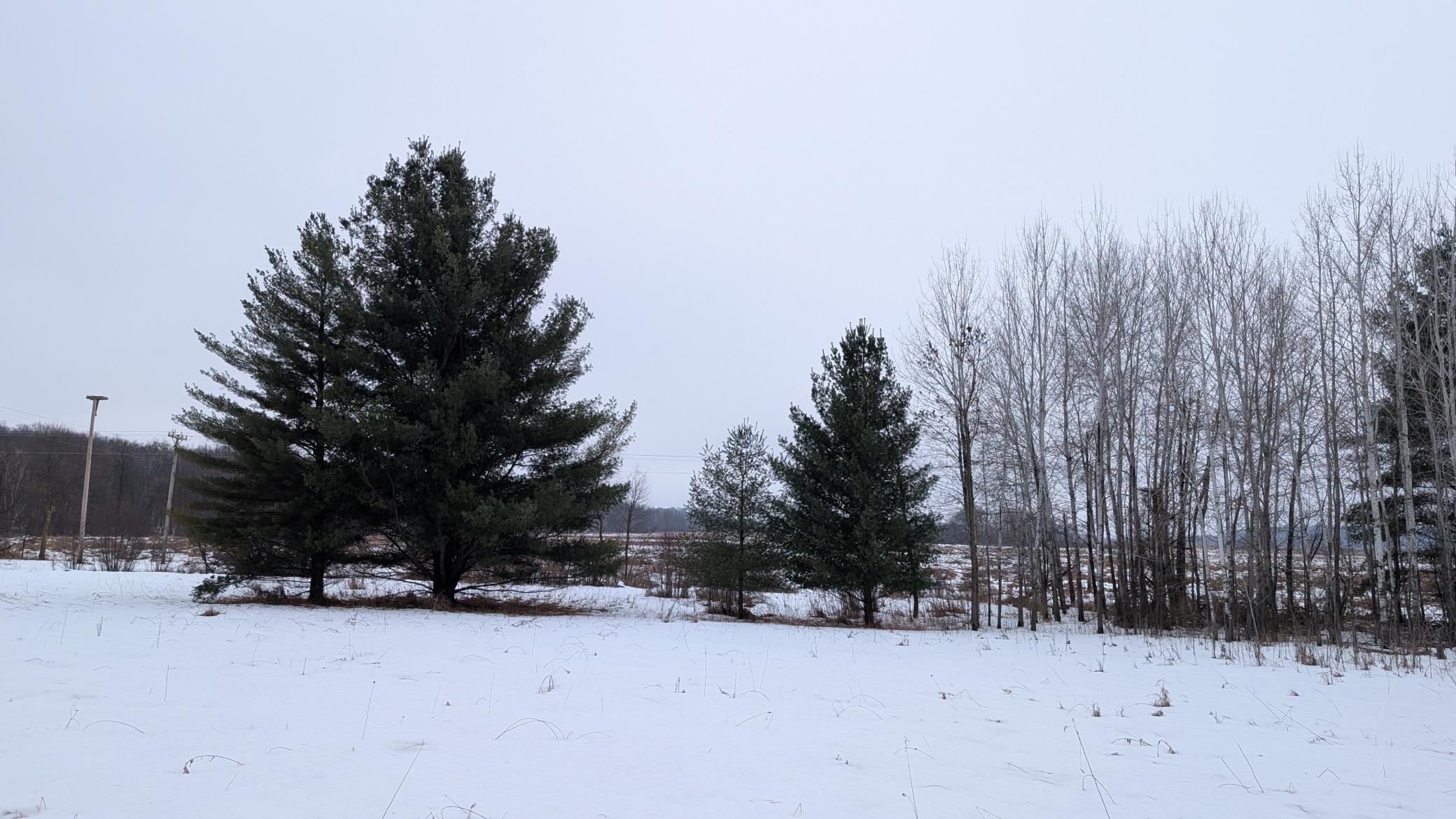 land for sale at TBD Hummingbird Road in Long Prairie, MN (photo 3 of 12)