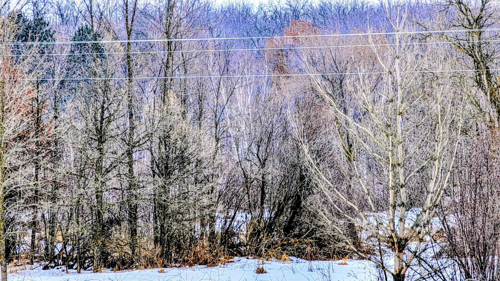 land for sale at TBD Hummingbird Road in Long Prairie, MN (photo 5 of 12)