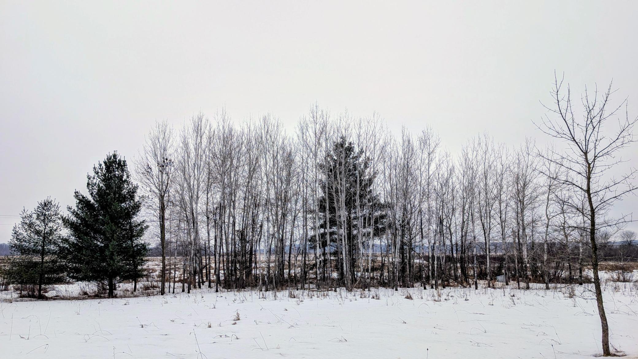 land for sale at TBD Hummingbird Road in Long Prairie, MN (photo 6 of 12)