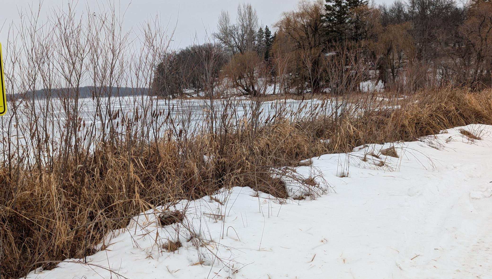 land for sale at TBD Hummingbird Road in Long Prairie, MN (photo 9 of 12)