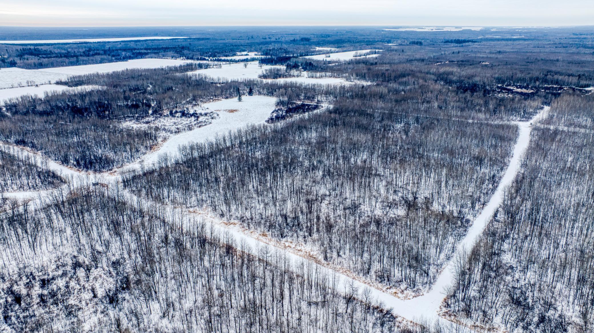 TBD Fourtown Road NW, Grygla MN 56727 - Photo 25 of 51