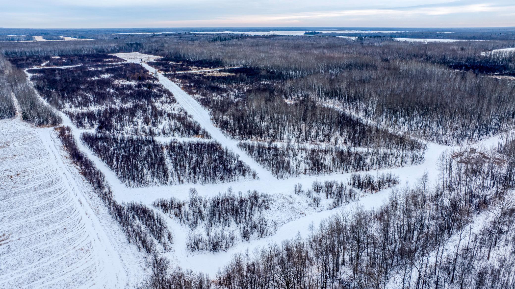 TBD Fourtown Road NW, Grygla MN 56727 - Photo 41 of 51