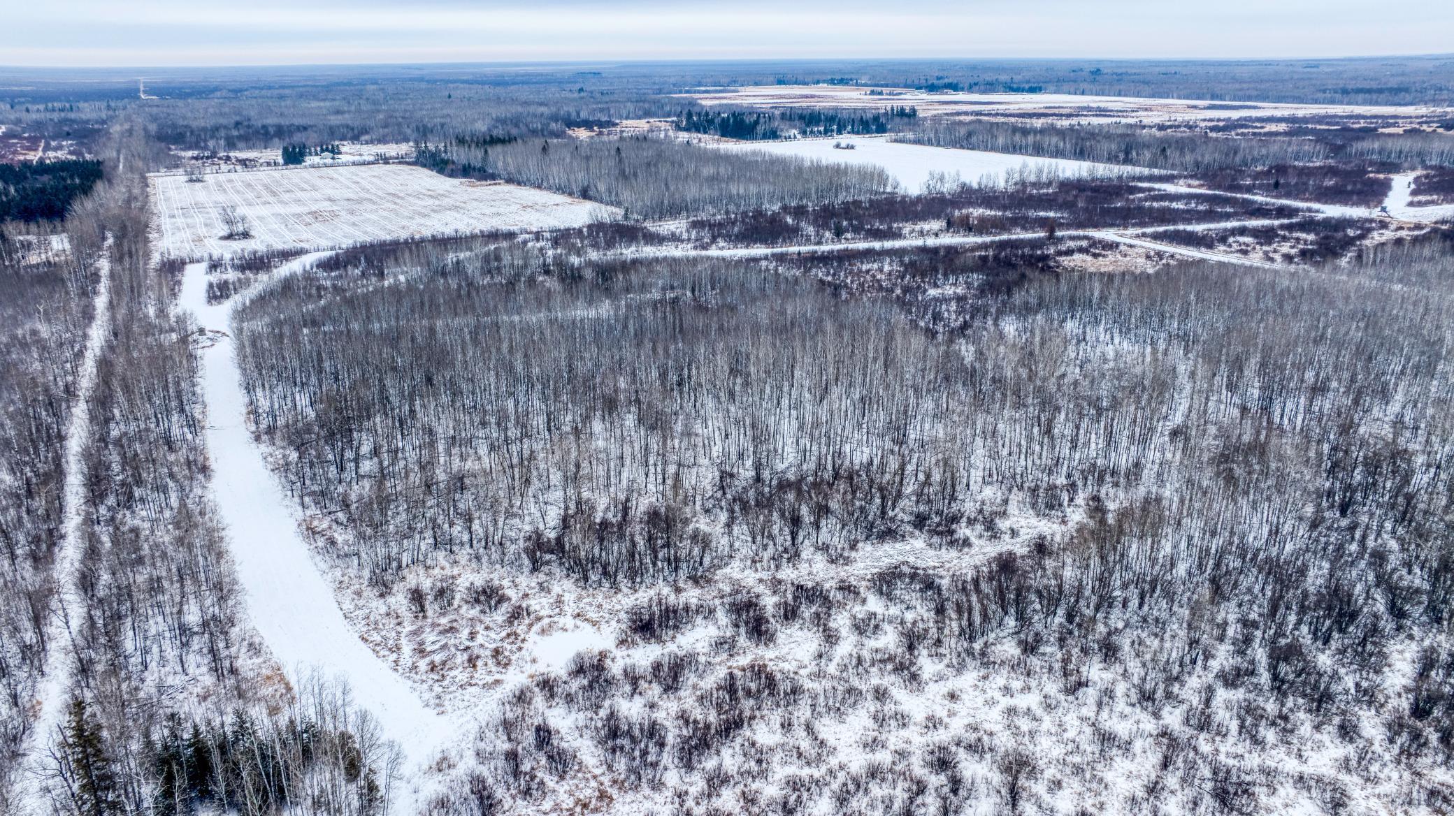 TBD Fourtown Road NW, Grygla MN 56727 - Photo 45 of 51