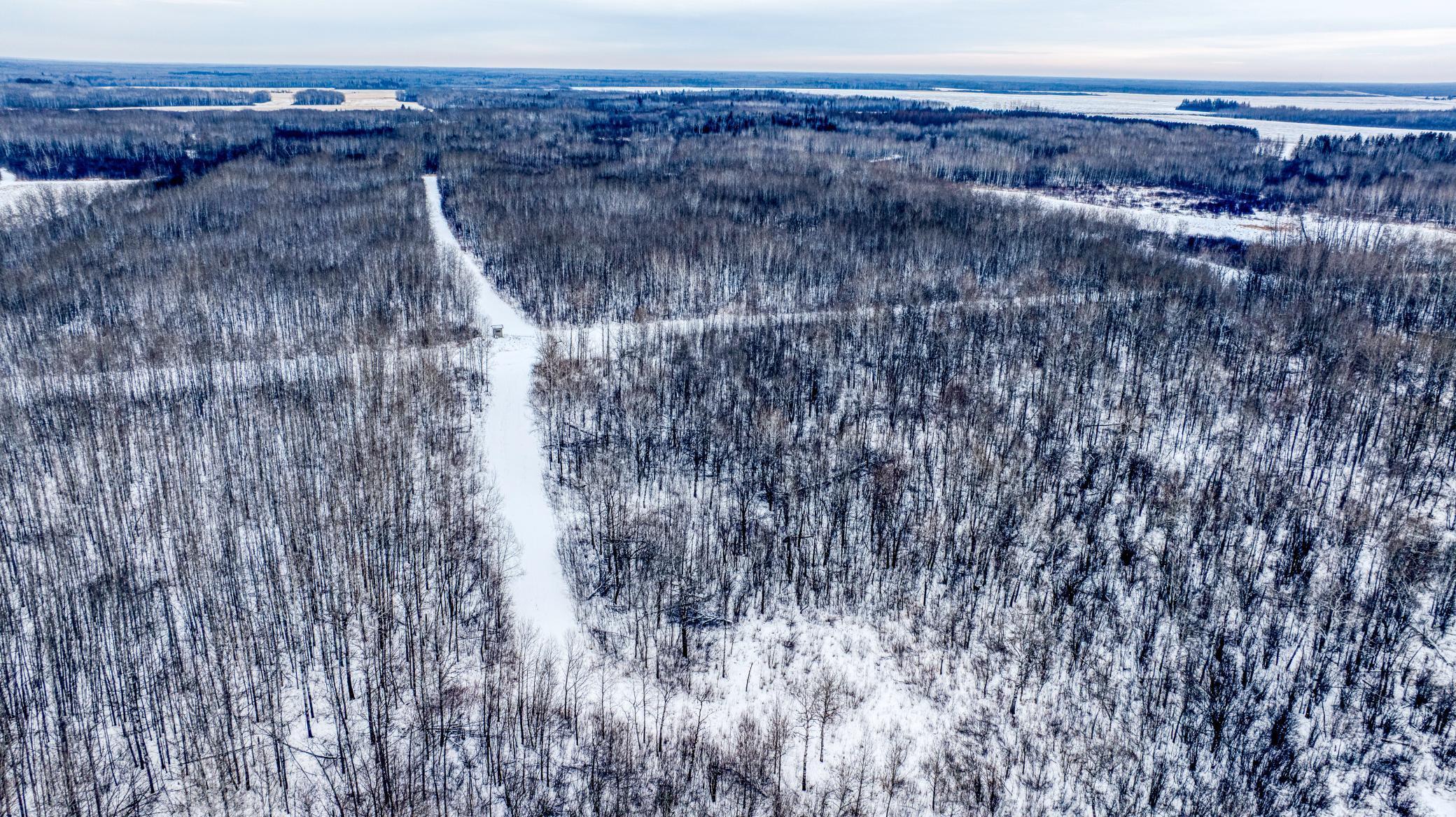 TBD Fourtown Road NW, Grygla MN 56727 - Photo 46 of 51