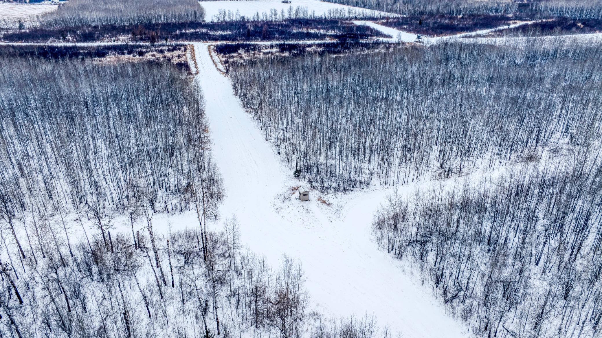 TBD Fourtown Road NW, Grygla MN 56727 - Photo 47 of 51