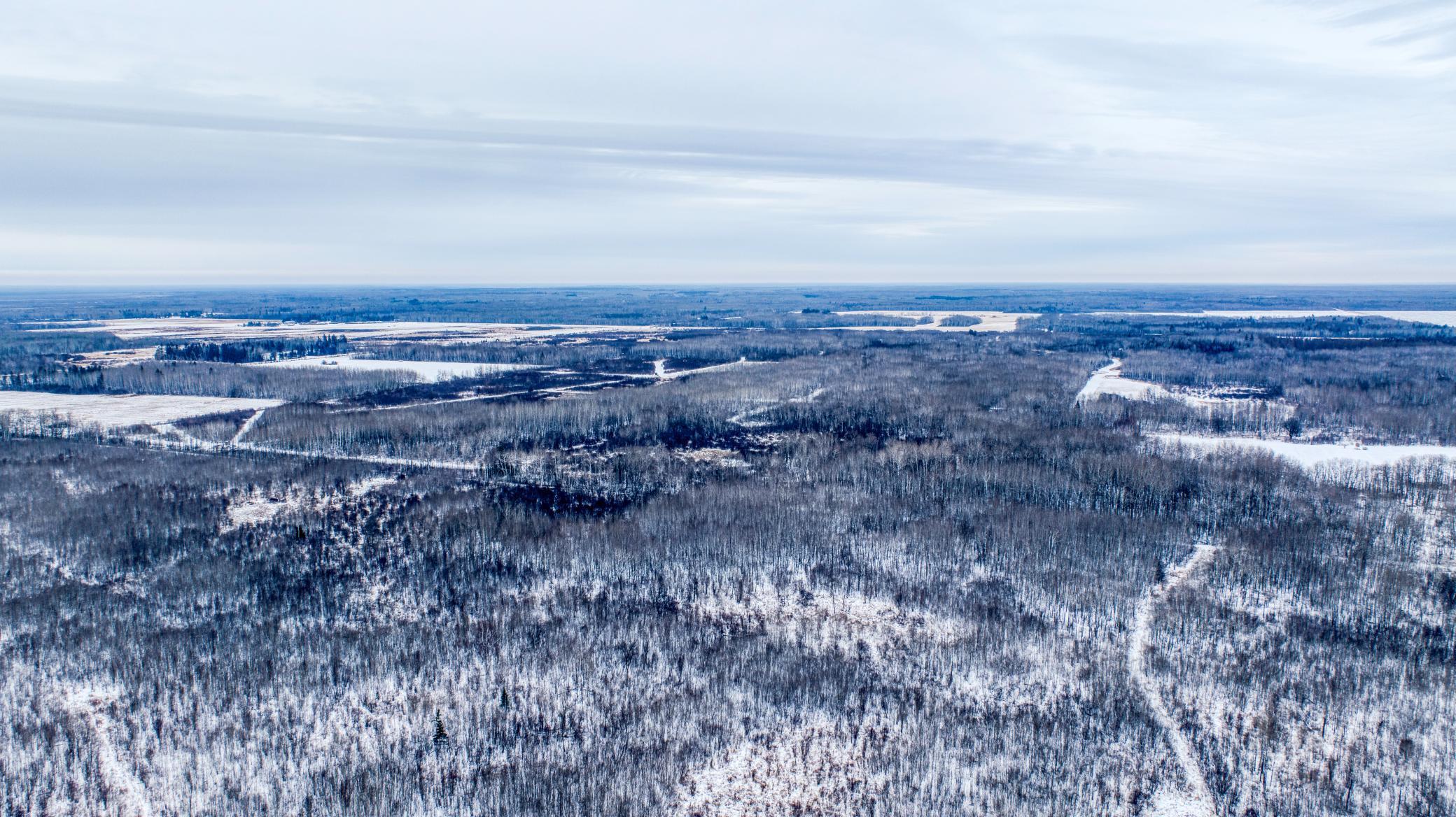 TBD Fourtown Road NW, Grygla MN 56727 - Photo 51 of 51