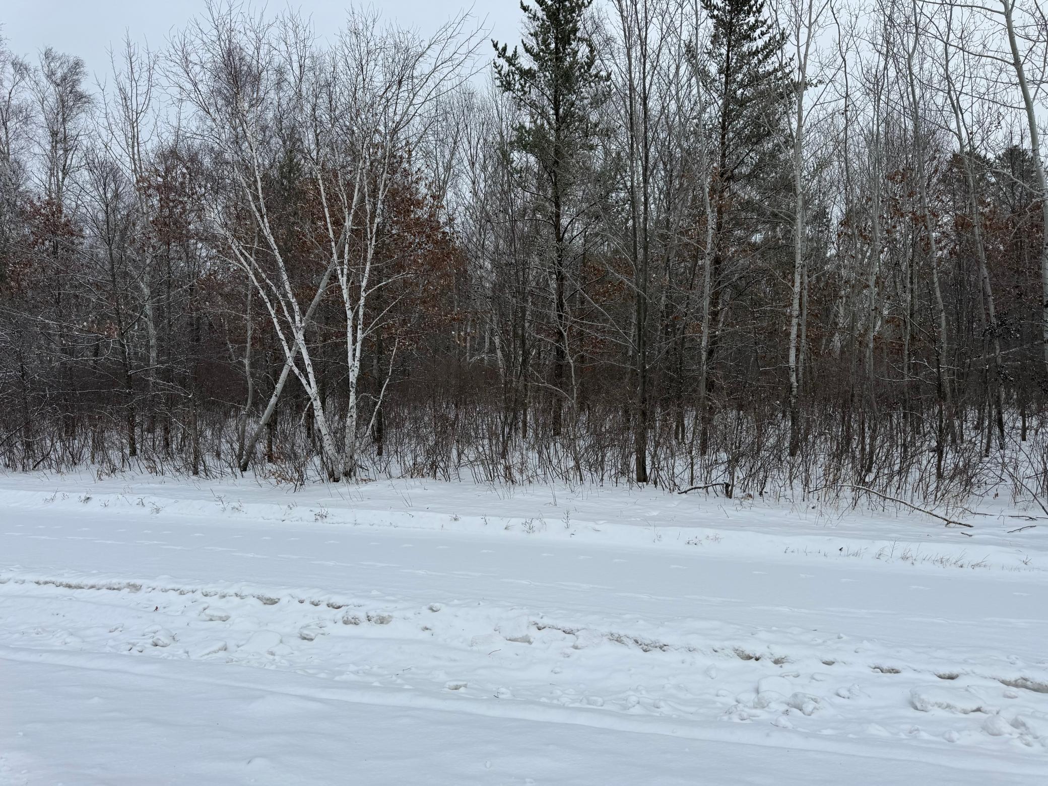 land for sale at TBD 32.48 US 2 NW in Cass Lake, MN (photo 3 of 19)