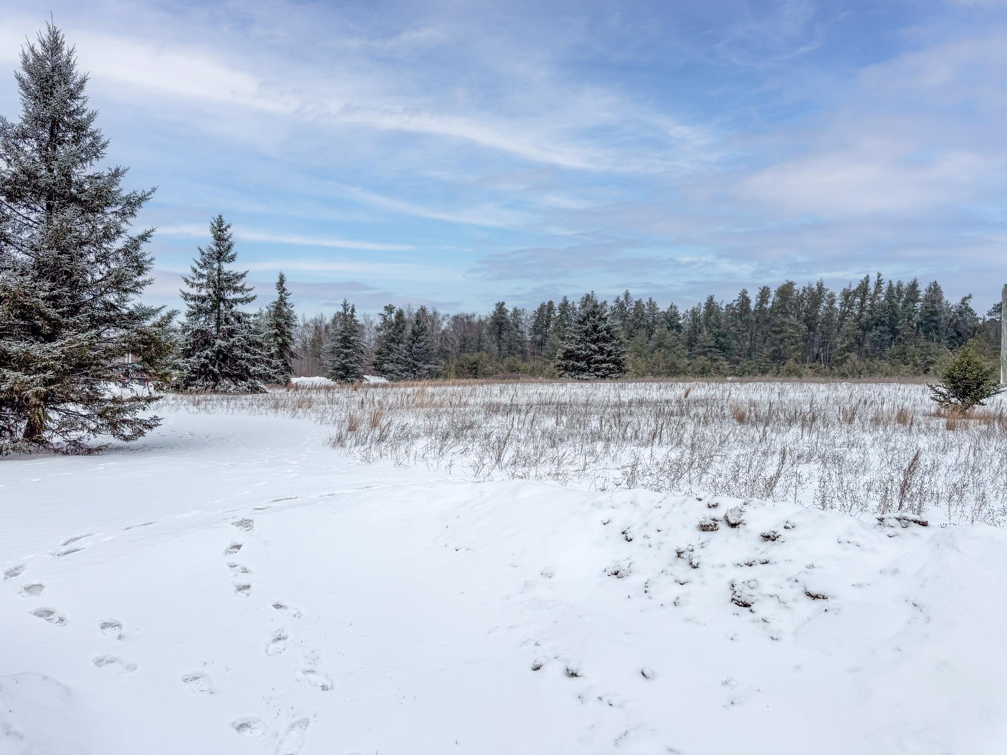 land for sale at TBD 32.48 US 2 NW in Cass Lake, MN (photo 5 of 19)
