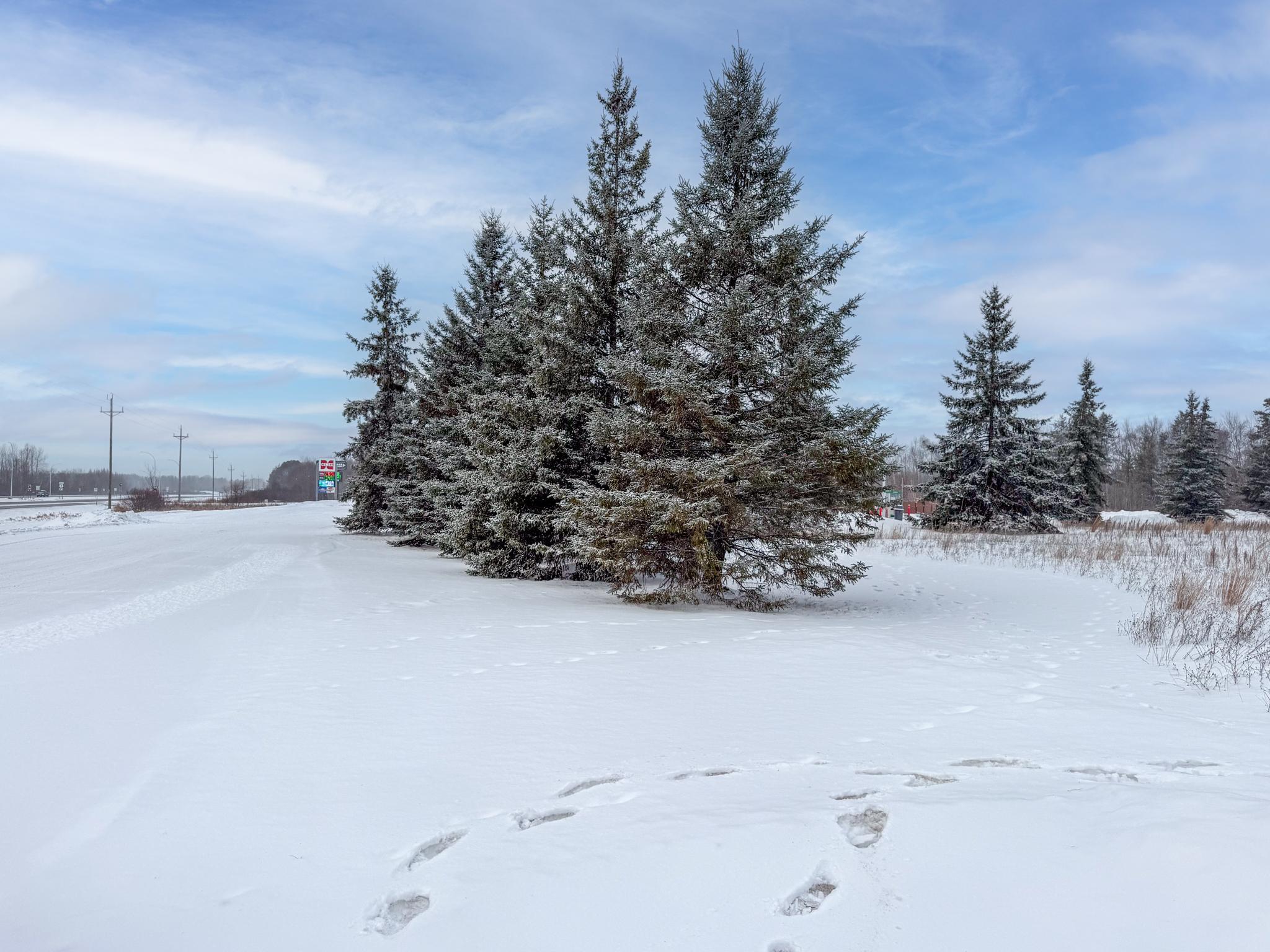 land for sale at TBD 32.48 US 2 NW in Cass Lake, MN (photo 6 of 19)