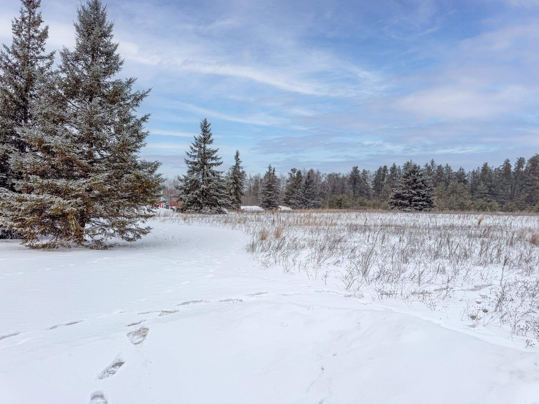 land for sale at TBD 32.48 US 2 NW in Cass Lake, MN (photo 7 of 19)