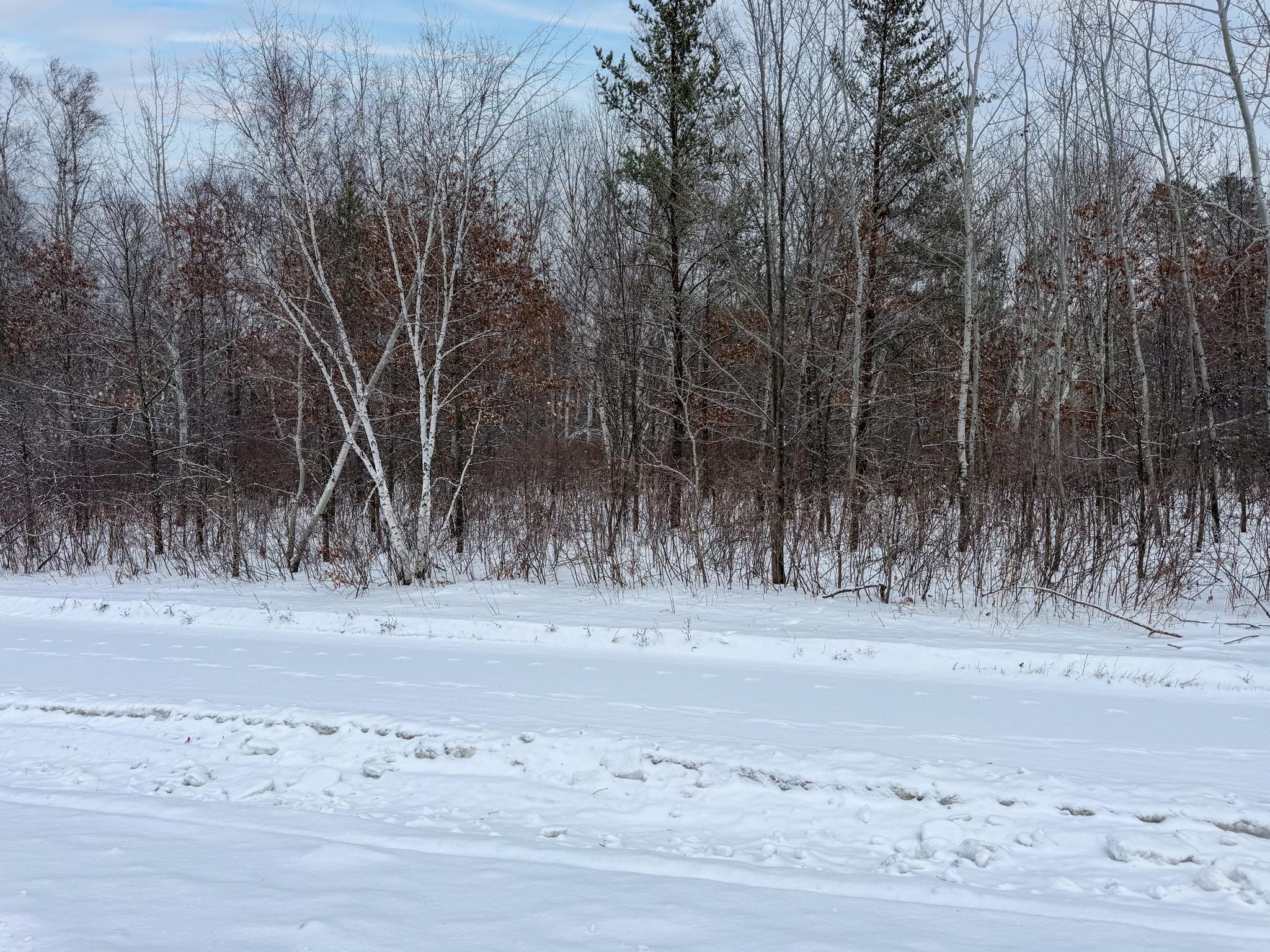 land for sale at TBD 32.48 US 2 NW in Cass Lake, MN (photo 8 of 19)