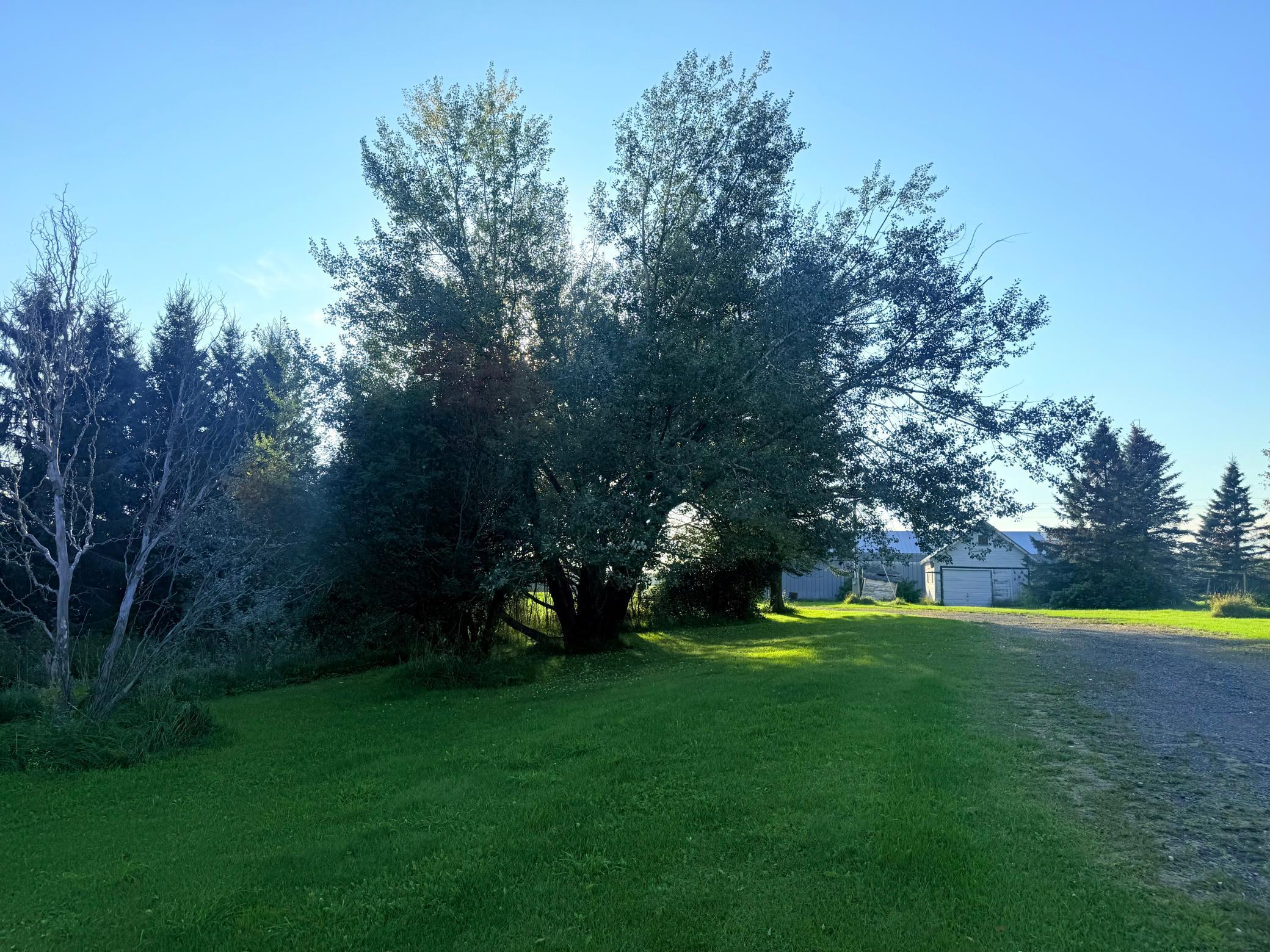 1979 single family home for sale at 18863 State Highway 65 in Goodland, MN — 3 bed, 2 bath (photo 8 of 22)