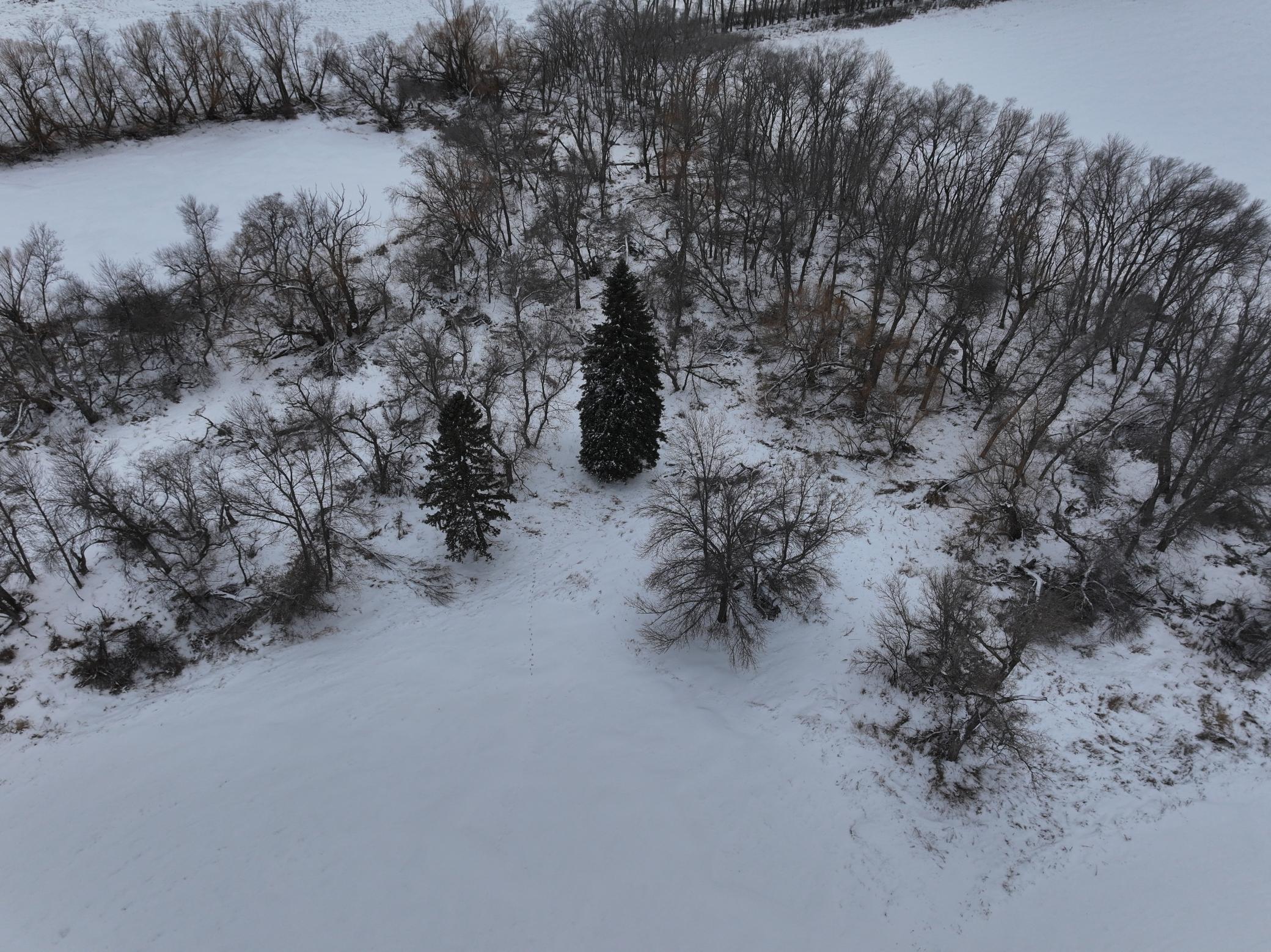 land for sale at 1st St SE 1st St SE in Cooperstown, ND (photo 2 of 25)
