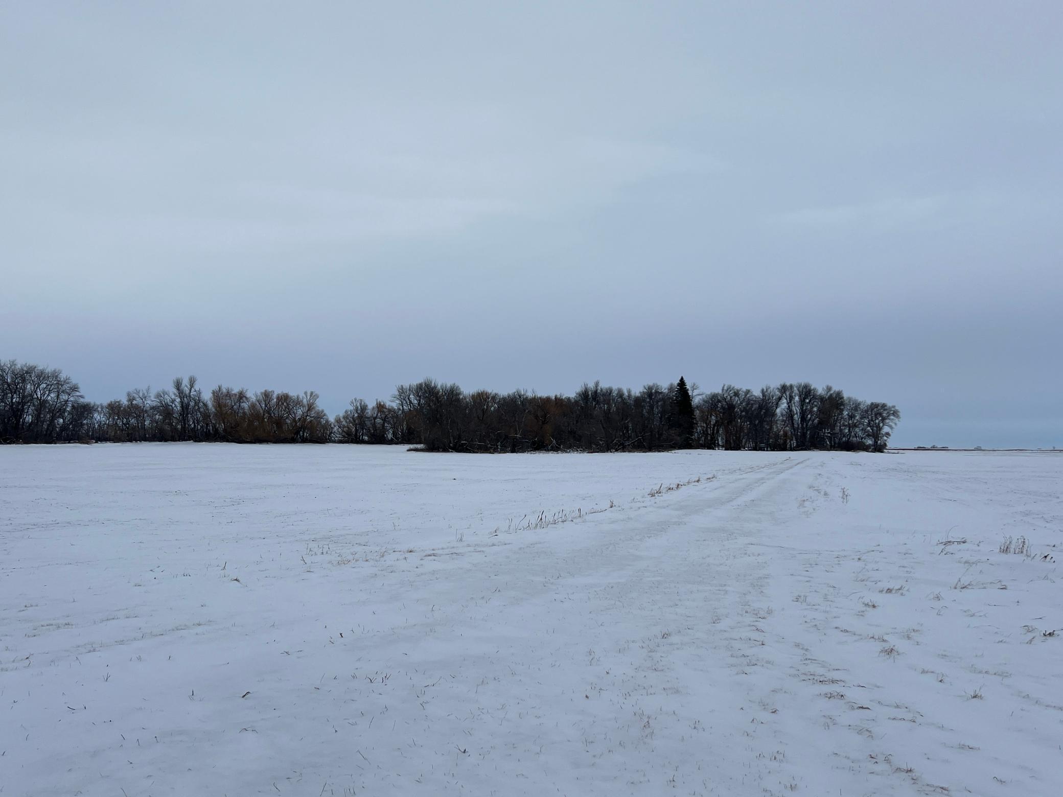 land for sale at 1st St SE 1st St SE in Cooperstown, ND (photo 12 of 25)