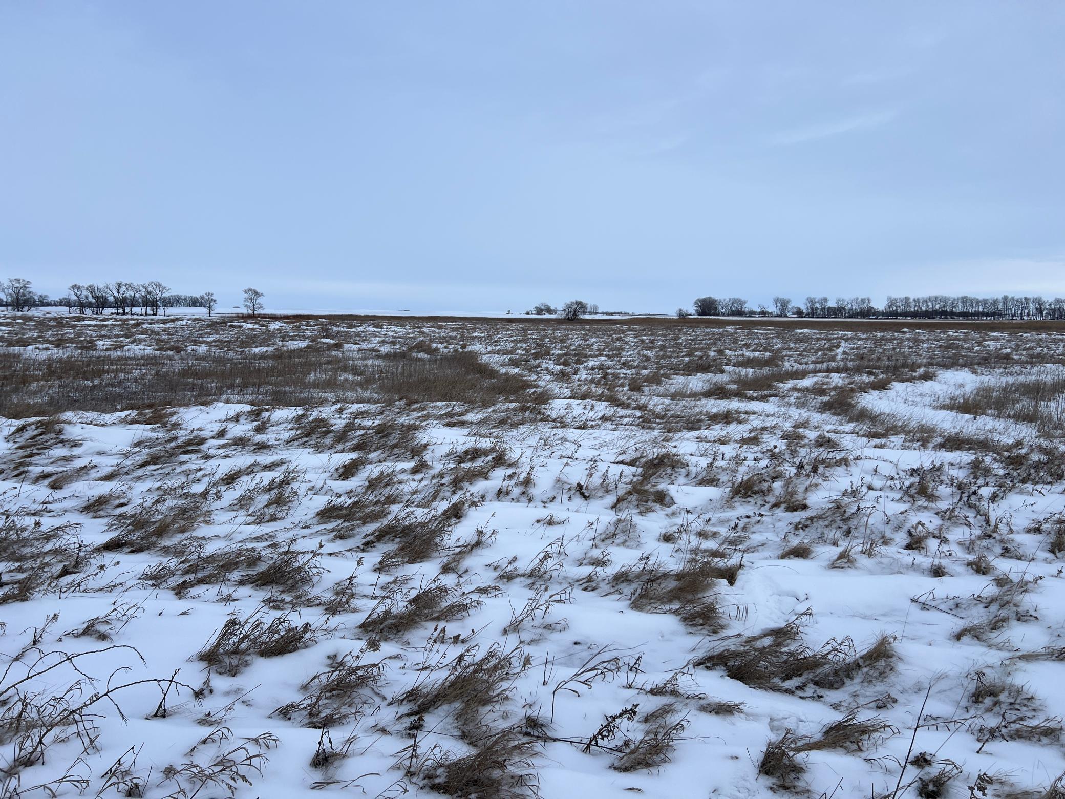 land for sale at 1st St SE 1st St SE in Cooperstown, ND (photo 13 of 25)
