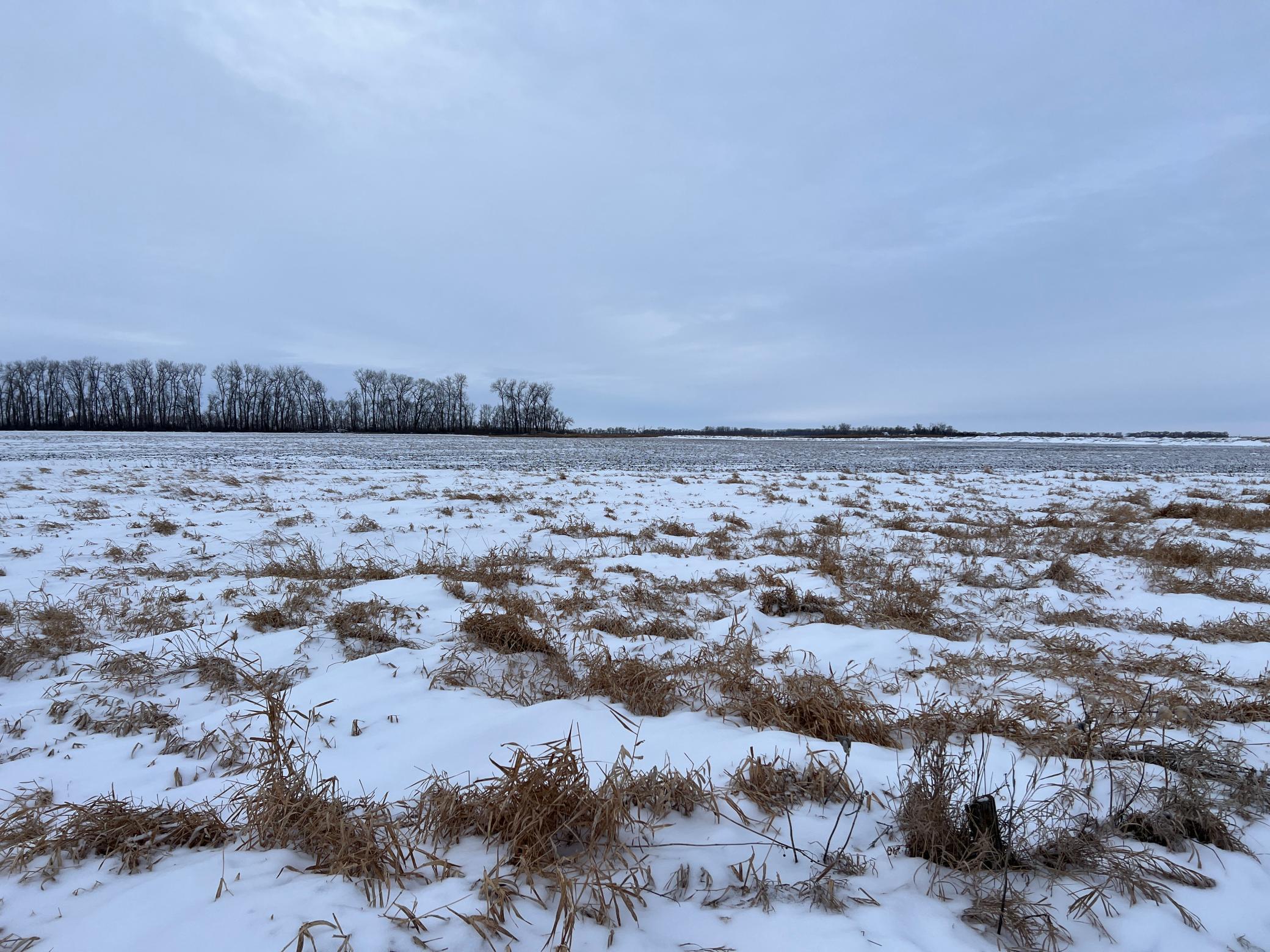land for sale at 1st St SE 1st St SE in Cooperstown, ND (photo 14 of 25)