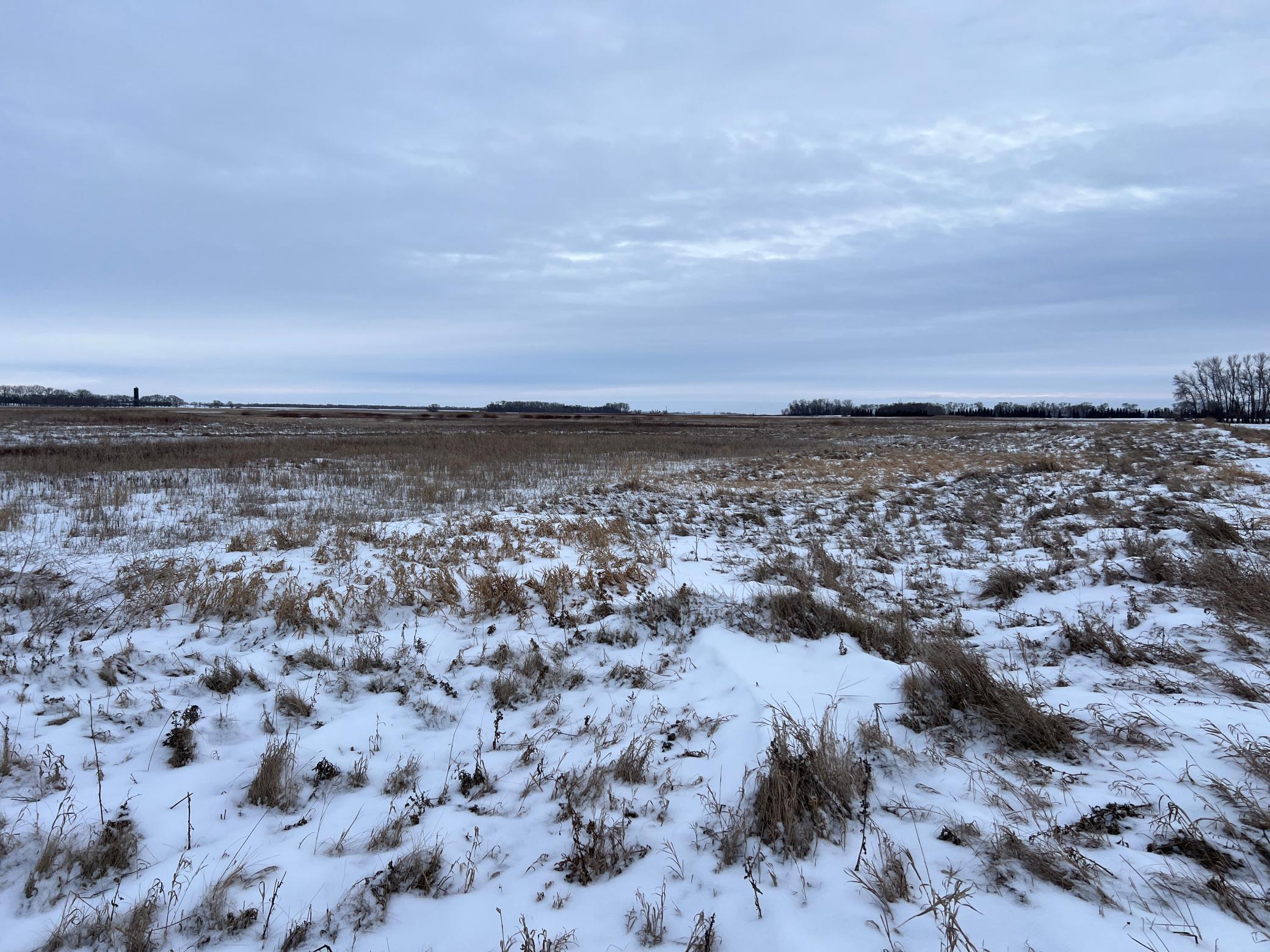 land for sale at 1st St SE 1st St SE in Cooperstown, ND (photo 15 of 25)