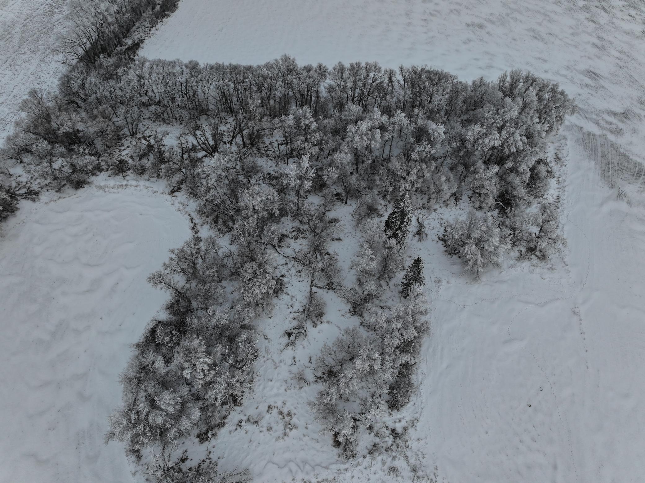 land for sale at 1st St SE 1st St SE in Cooperstown, ND (photo 3 of 25)