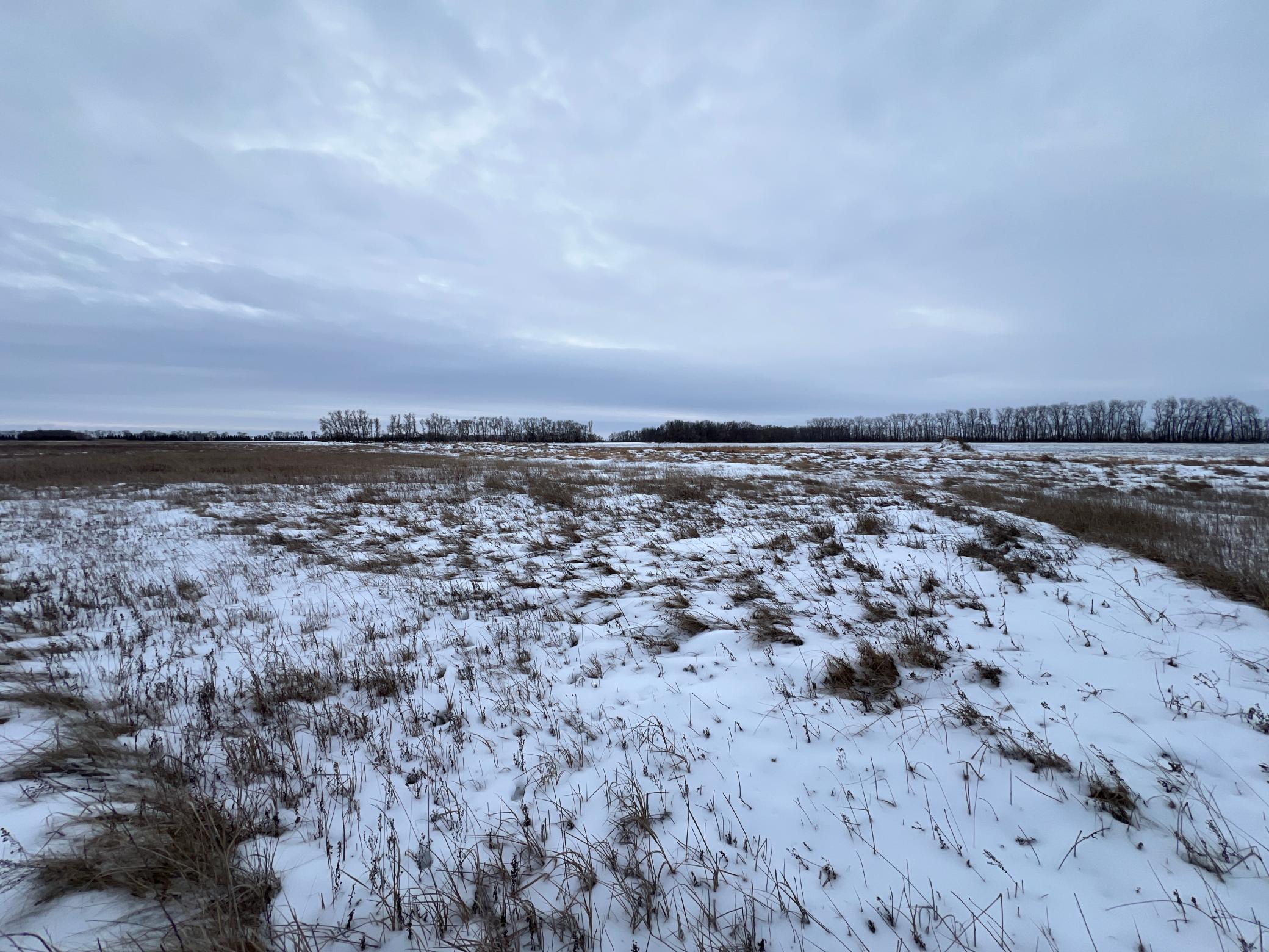 land for sale at 1st St SE 1st St SE in Cooperstown, ND (photo 16 of 25)