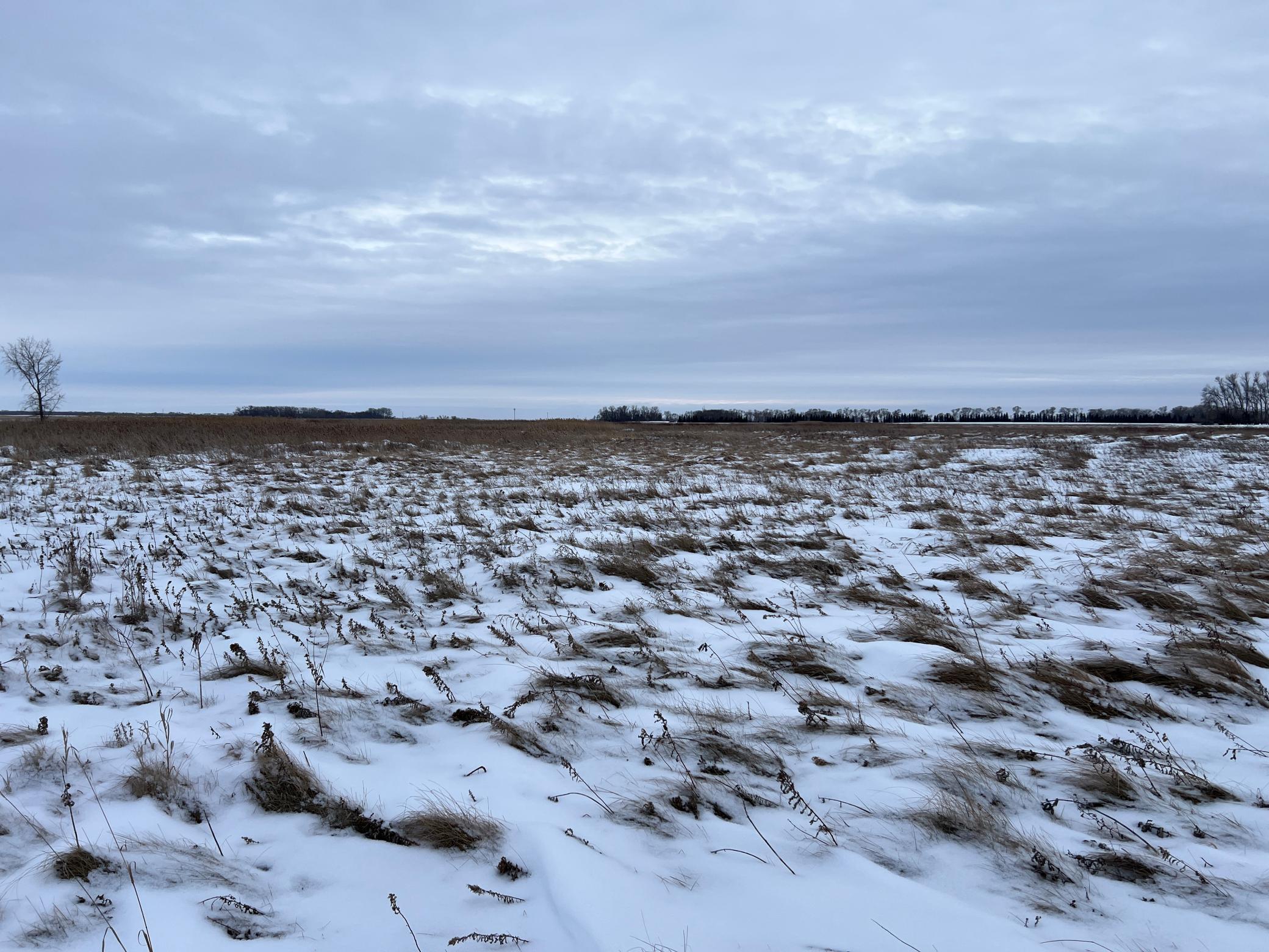 land for sale at 1st St SE 1st St SE in Cooperstown, ND (photo 17 of 25)