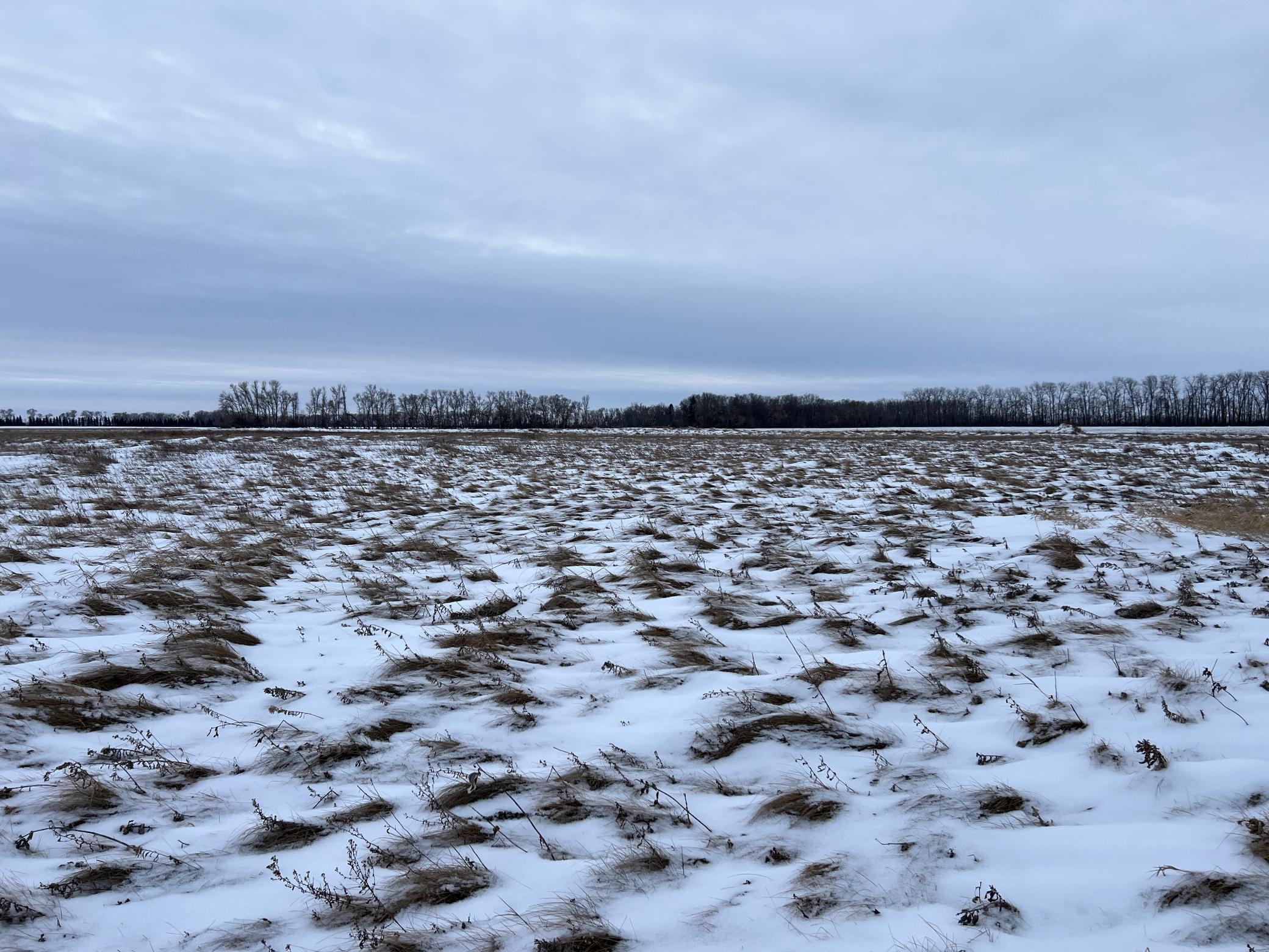 land for sale at 1st St SE 1st St SE in Cooperstown, ND (photo 18 of 25)