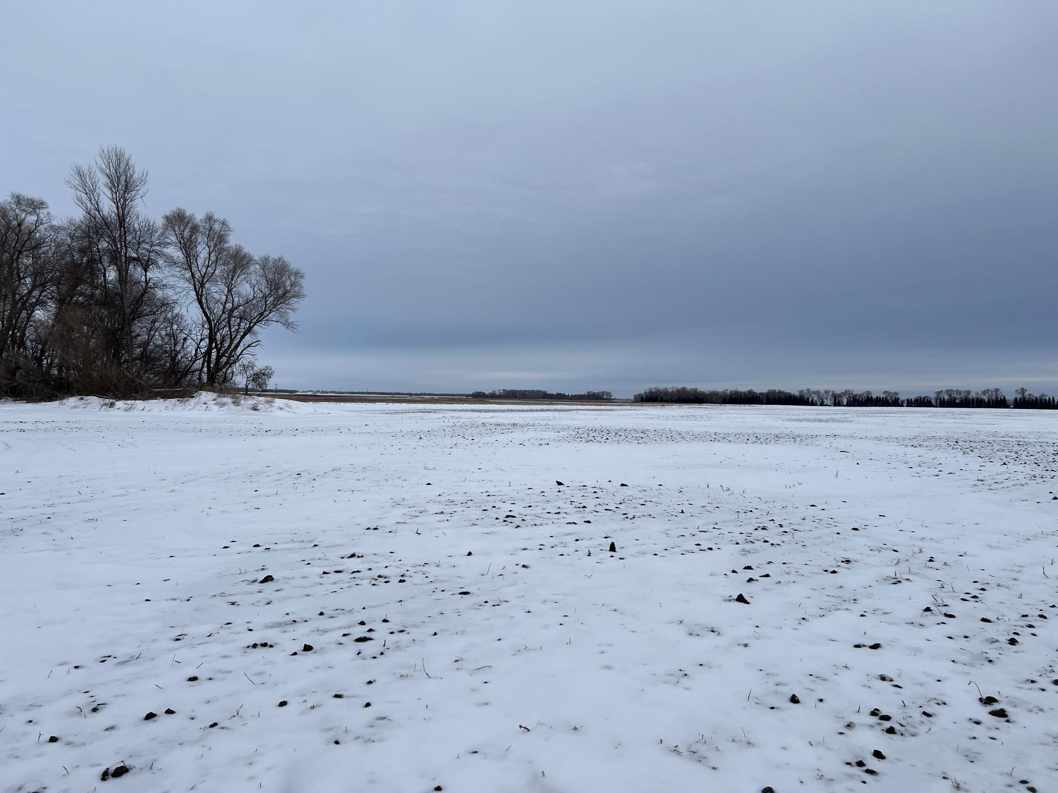 land for sale at 1st St SE 1st St SE in Cooperstown, ND (photo 20 of 25)