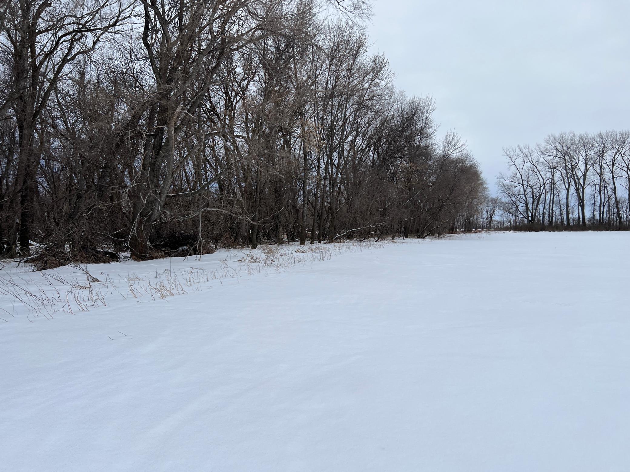 land for sale at 1st St SE 1st St SE in Cooperstown, ND (photo 21 of 25)