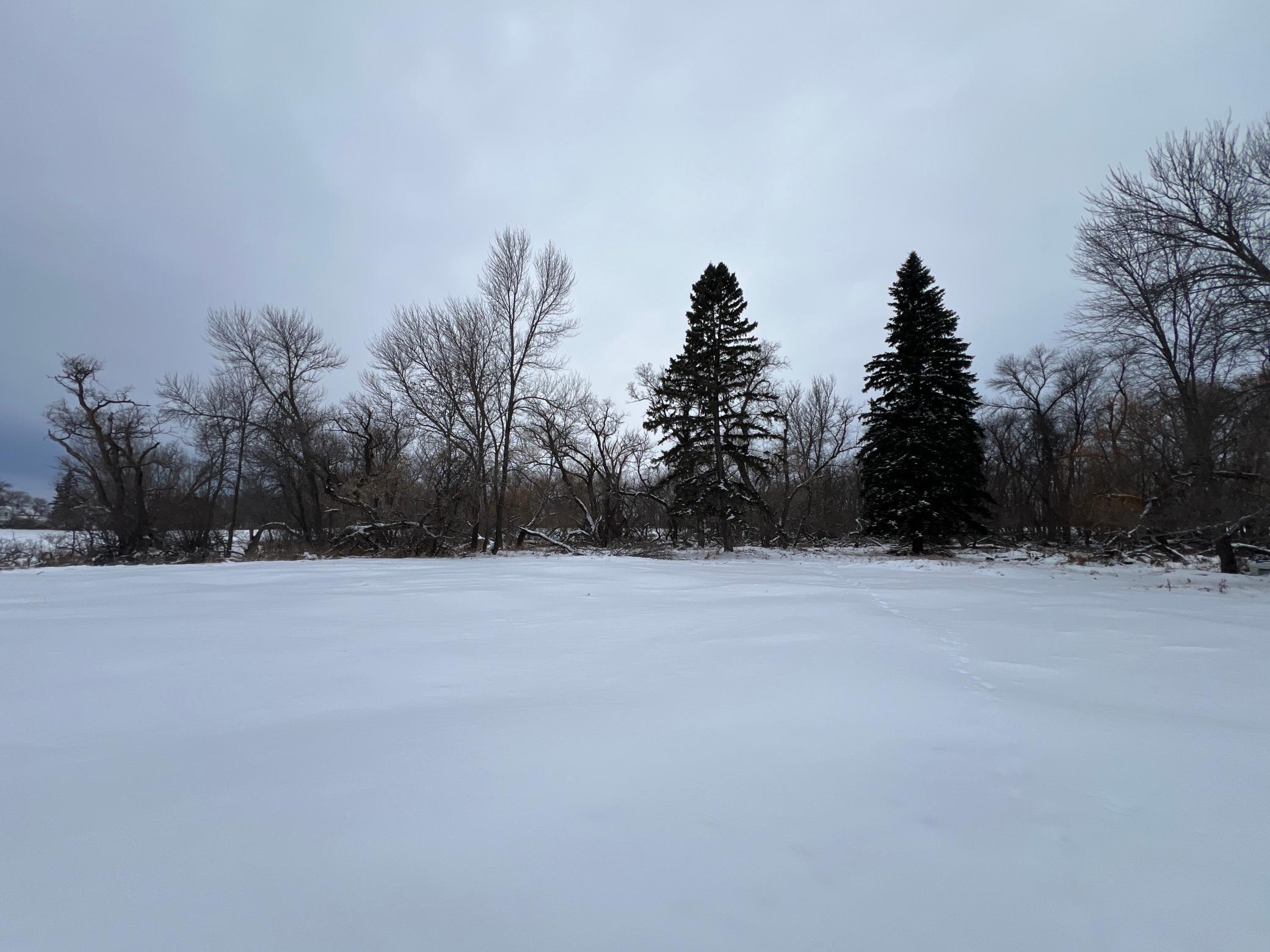 land for sale at 1st St SE 1st St SE in Cooperstown, ND (photo 22 of 25)
