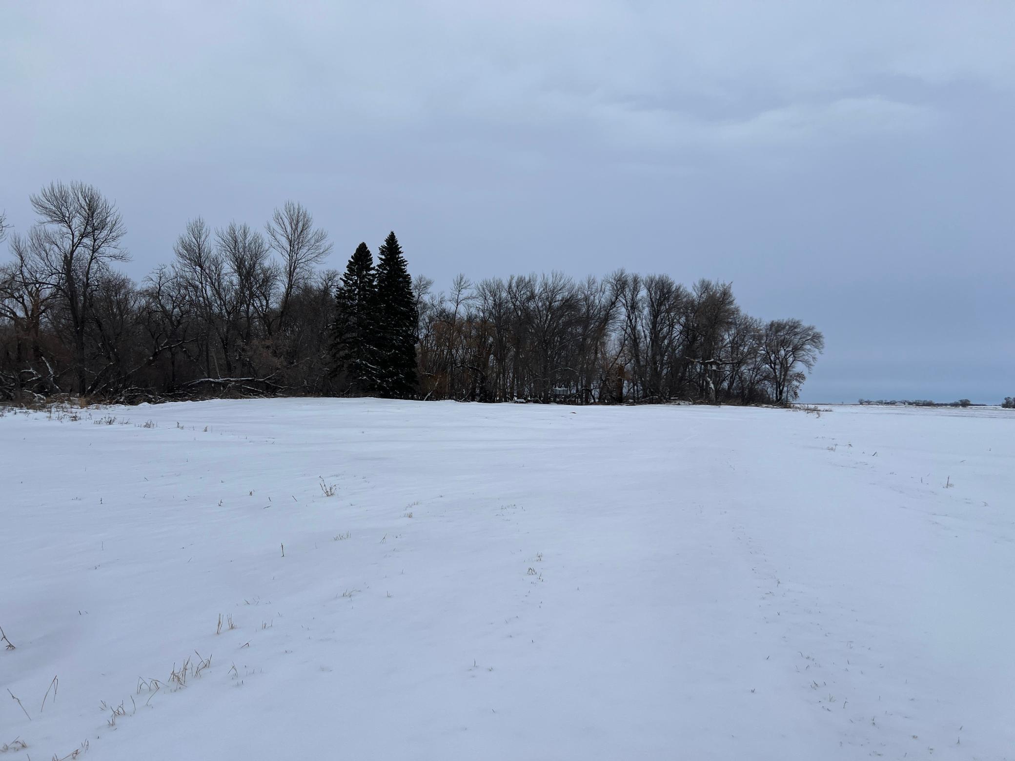 land for sale at 1st St SE 1st St SE in Cooperstown, ND (photo 23 of 25)