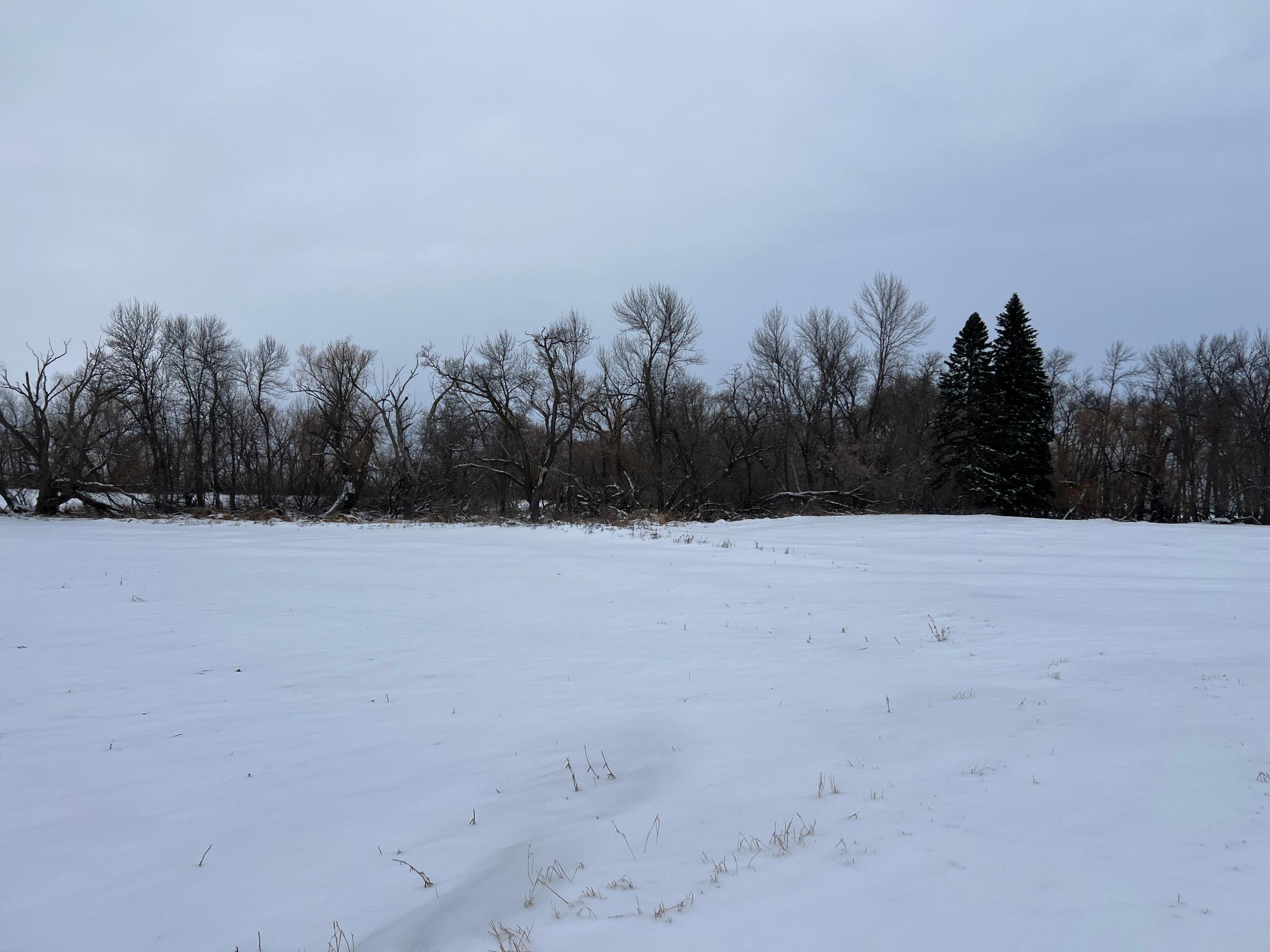 land for sale at 1st St SE 1st St SE in Cooperstown, ND (photo 24 of 25)