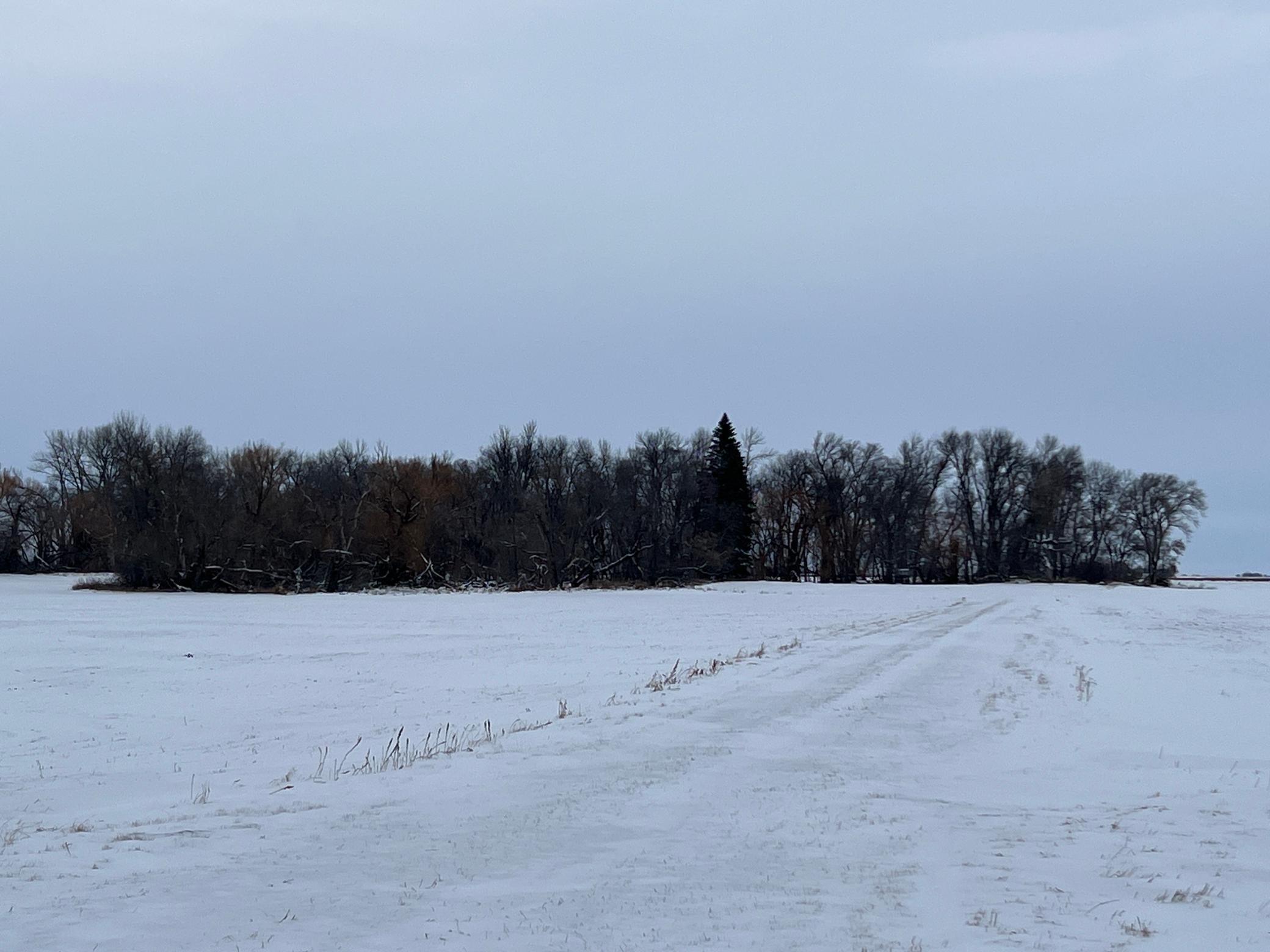 land for sale at 1st St SE 1st St SE in Cooperstown, ND (photo 25 of 25)