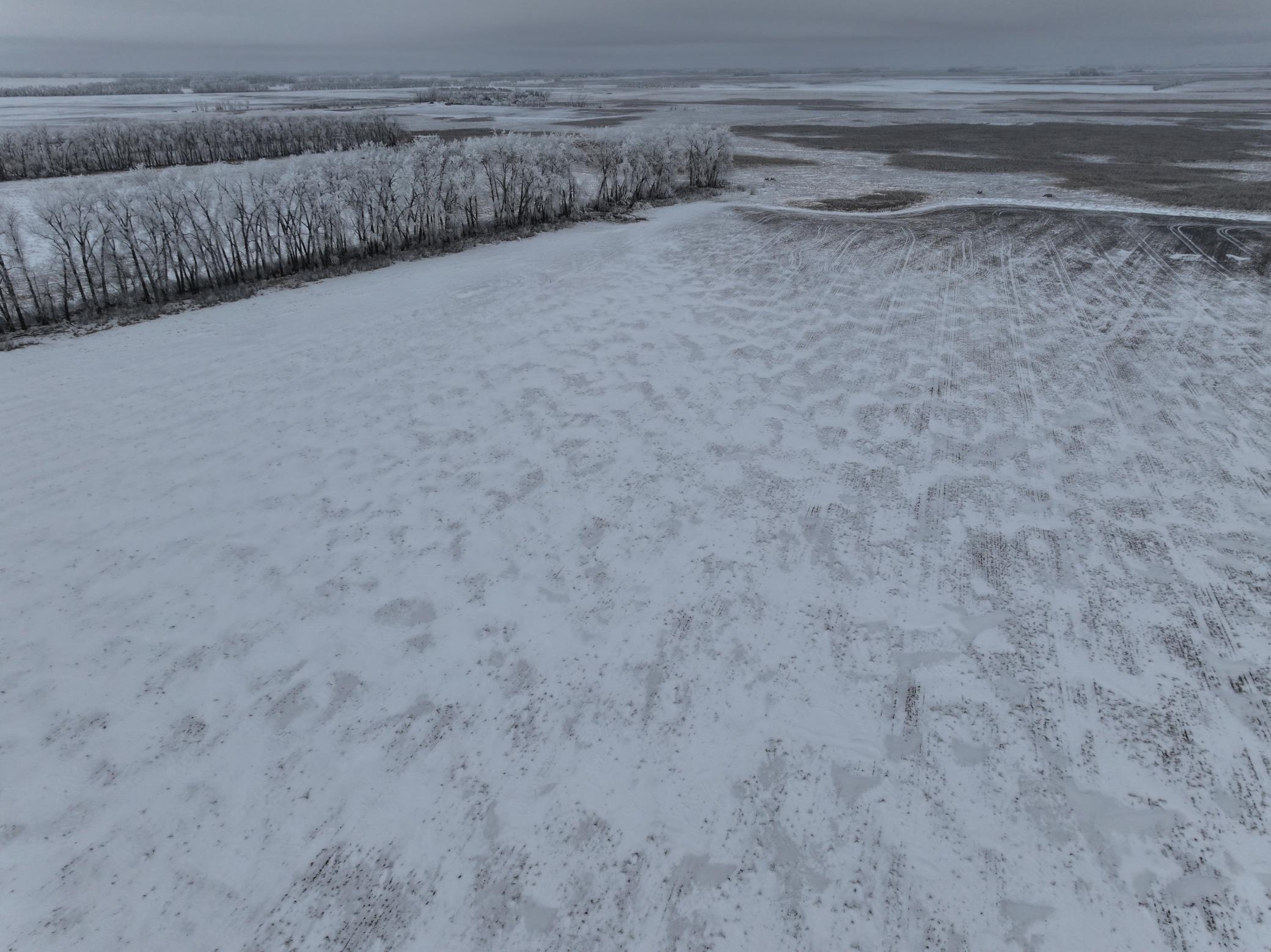land for sale at 1st St SE 1st St SE in Cooperstown, ND (photo 4 of 25)