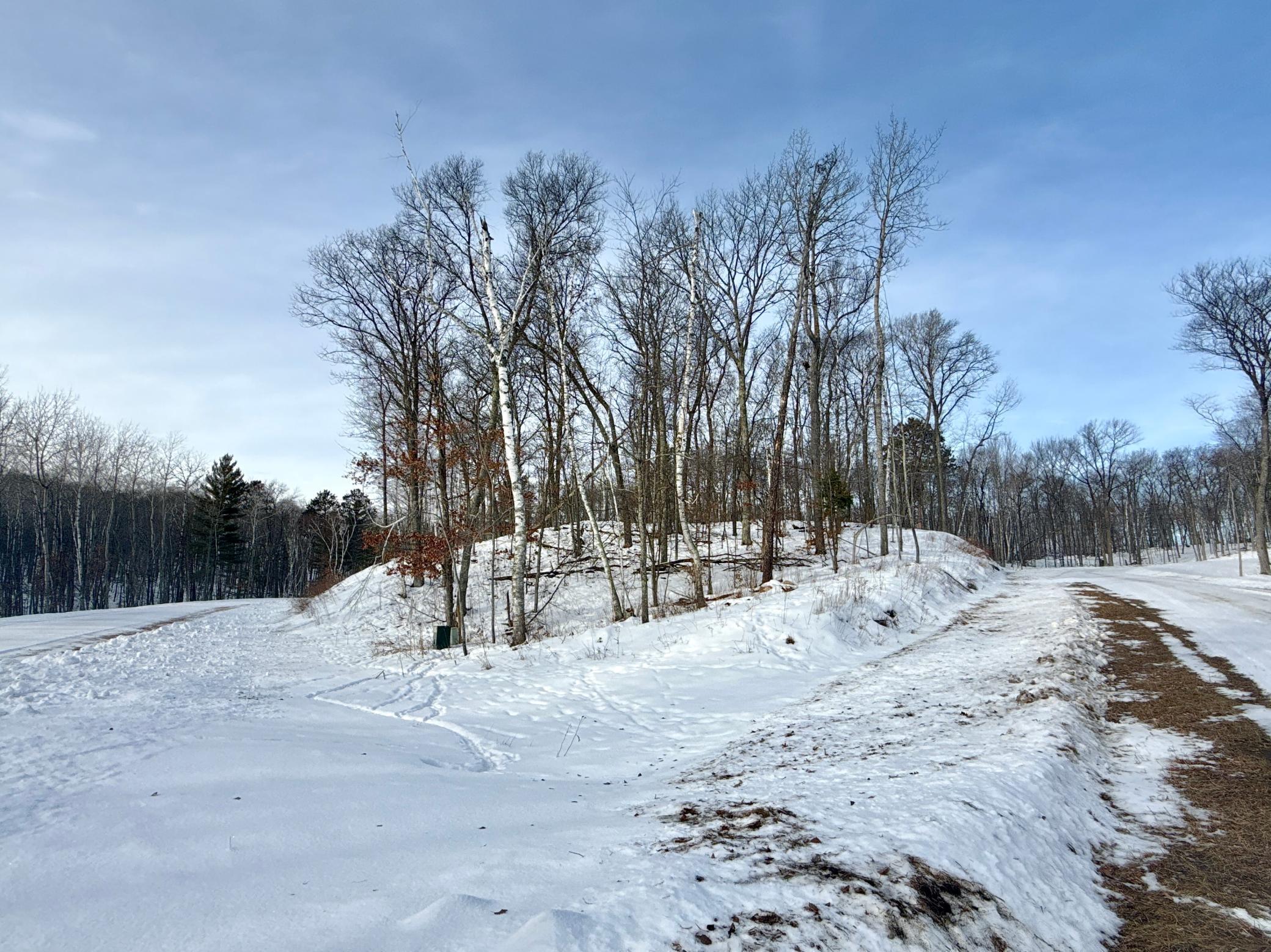 480 Ridgeway Lane, Walker MN 56484 - Photo 3 of 9