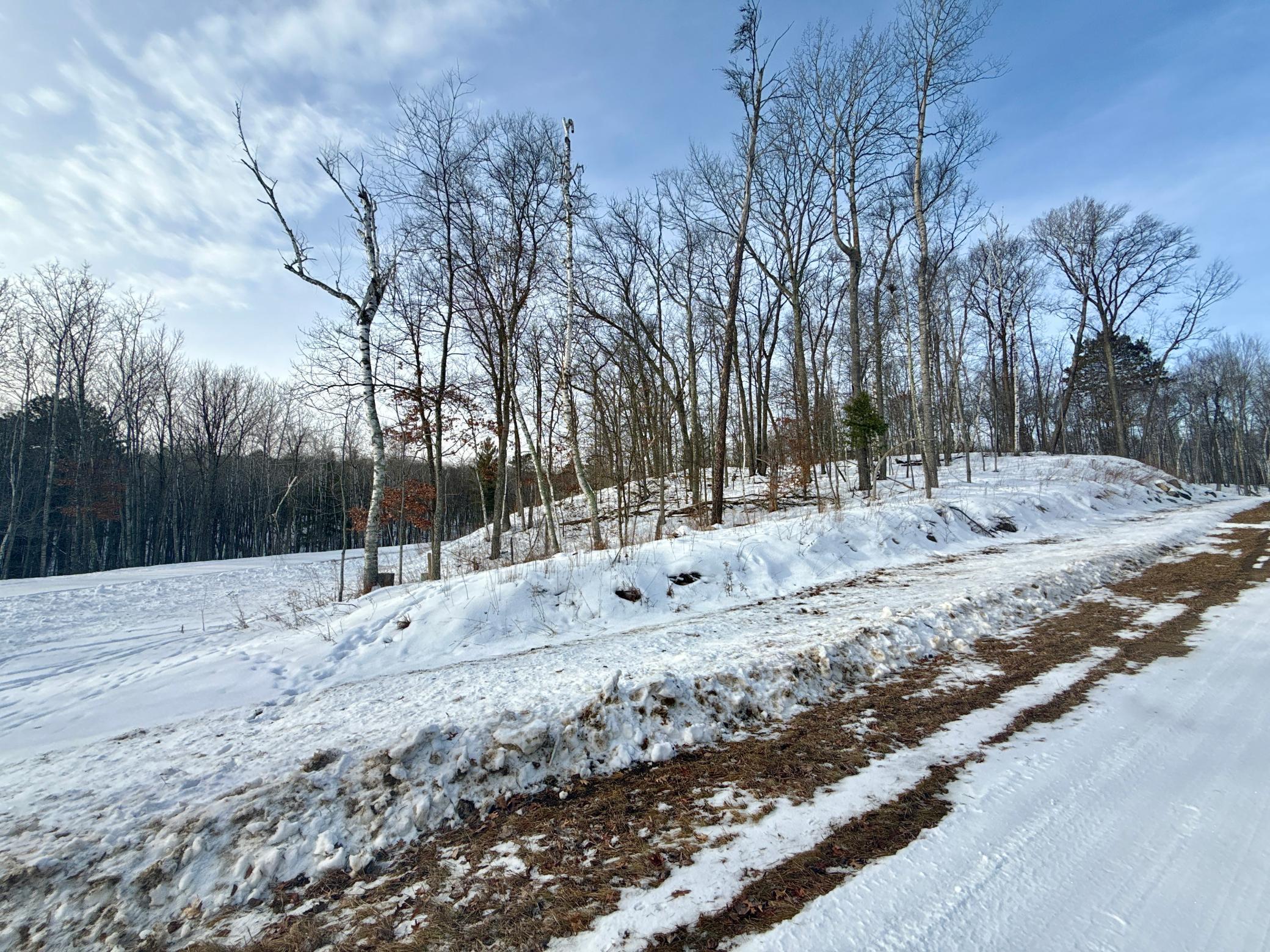 480 Ridgeway Lane, Walker MN 56484 - Photo 4 of 9