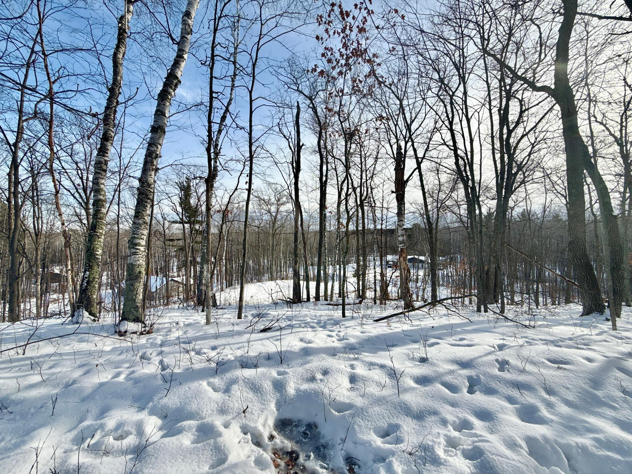 480 Ridgeway Lane, Walker MN 56484 - Photo 8 of 9