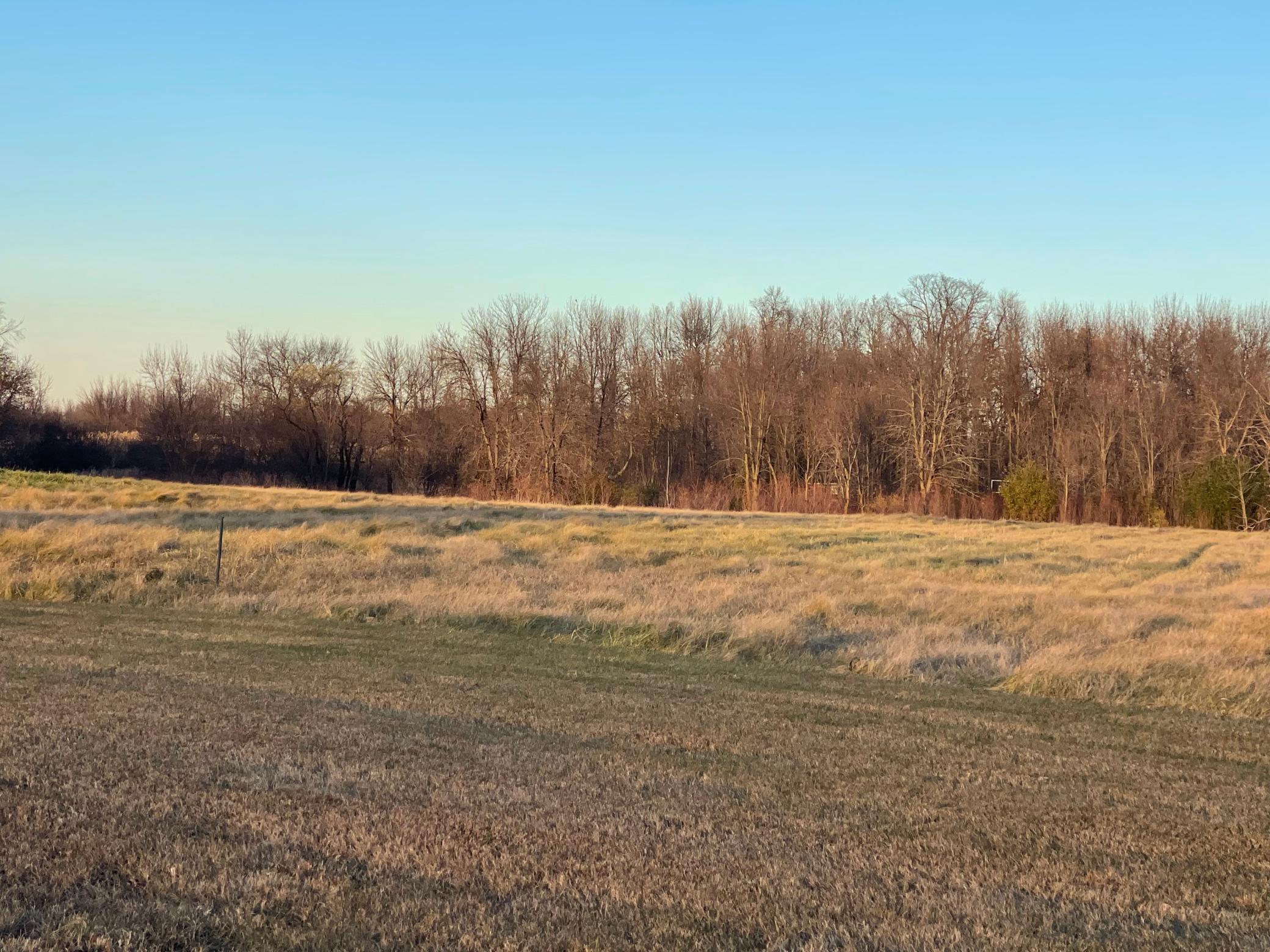 land for sale at Lot 8 Block 1 Donway Place NE in Alexandria, MN
