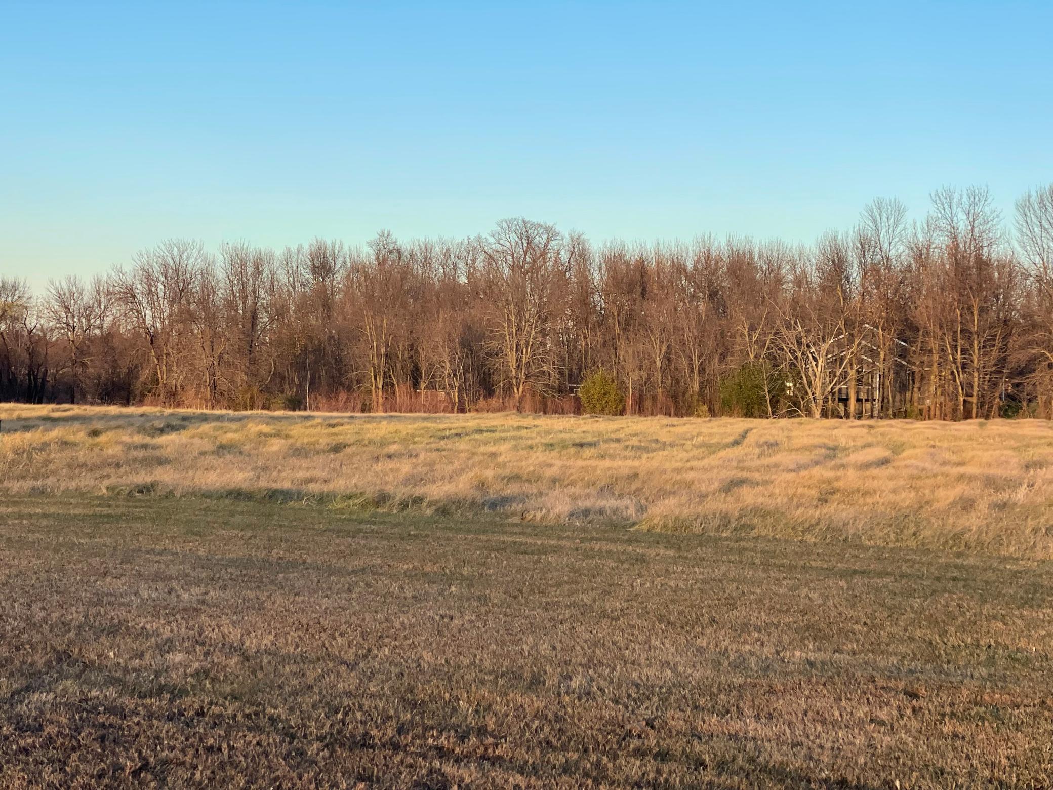 land for sale at Lot 8 Block 1 Donway Place NE in Alexandria, MN (photo 2 of 8)