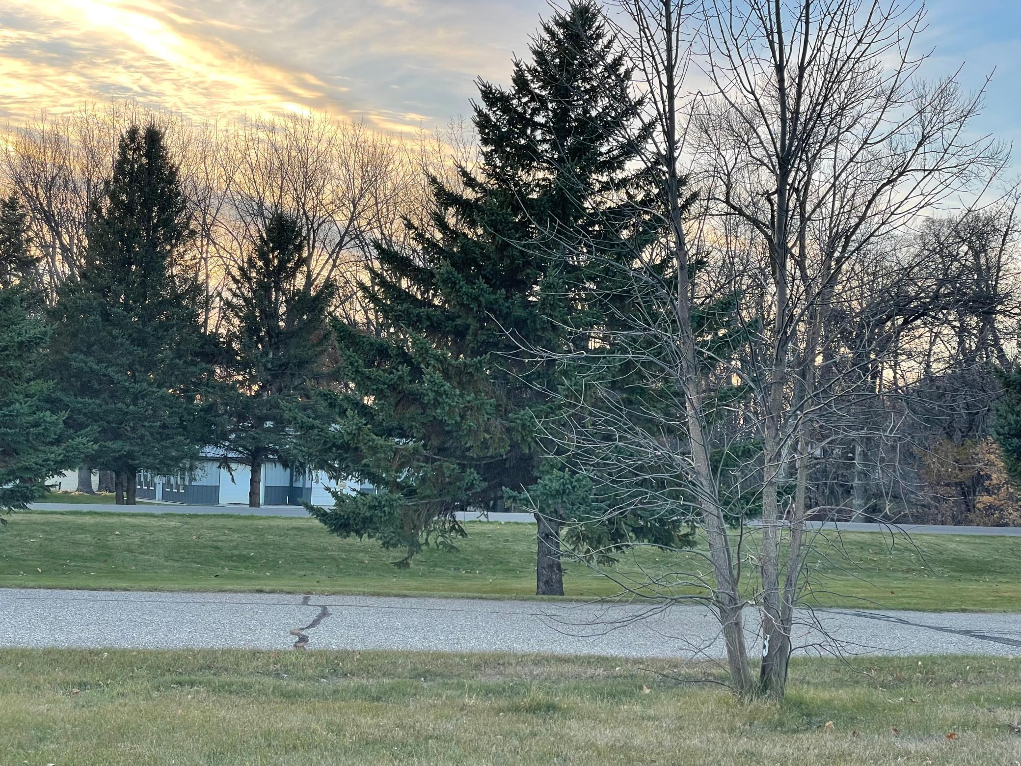 land for sale at Lot 9 Block 2 Moorstone Drive NE in Alexandria, MN (photo 2 of 8)