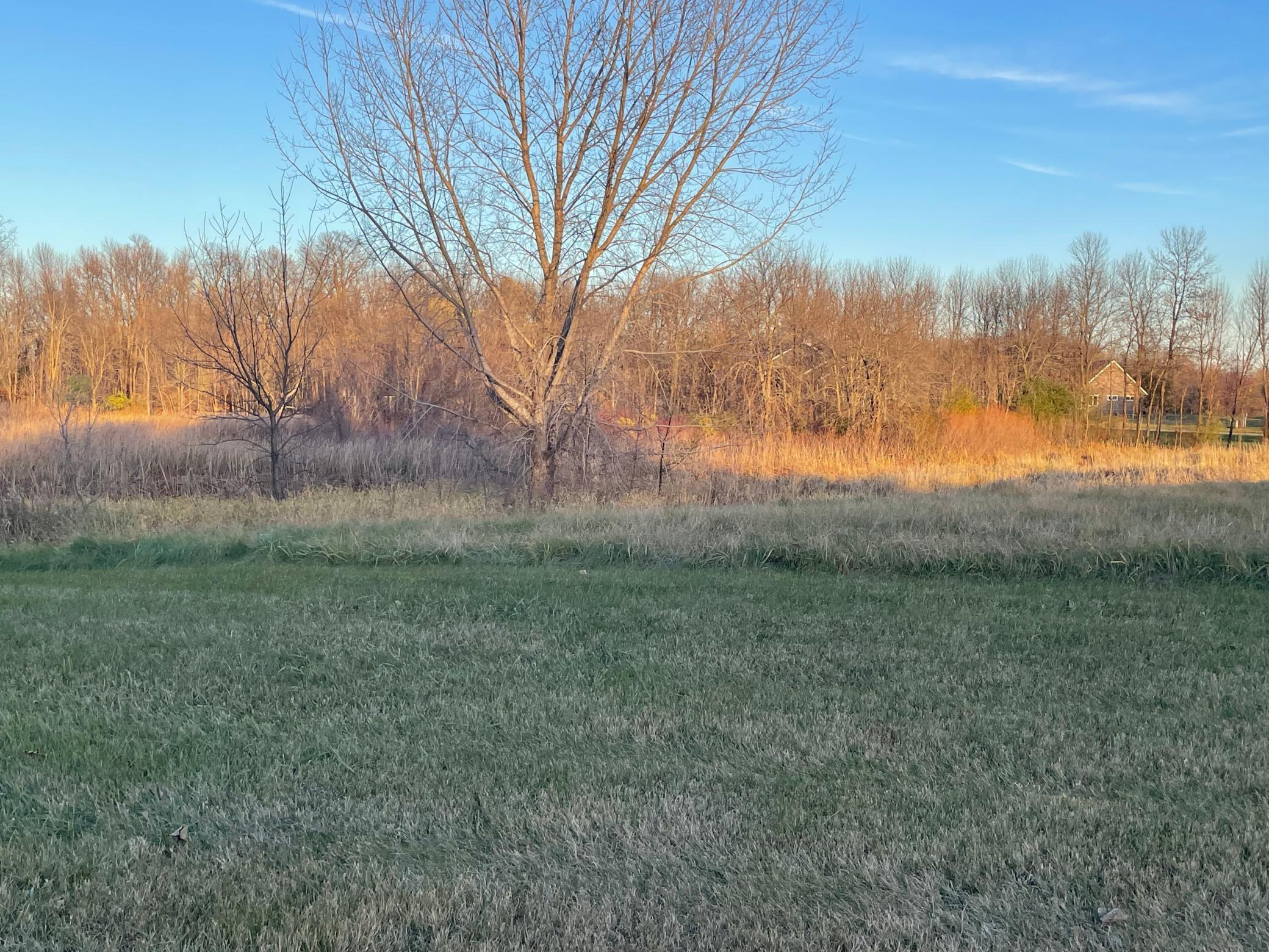 land for sale at Lot 11 Block 1 Donway Place NE in Alexandria, MN (photo 2 of 8)
